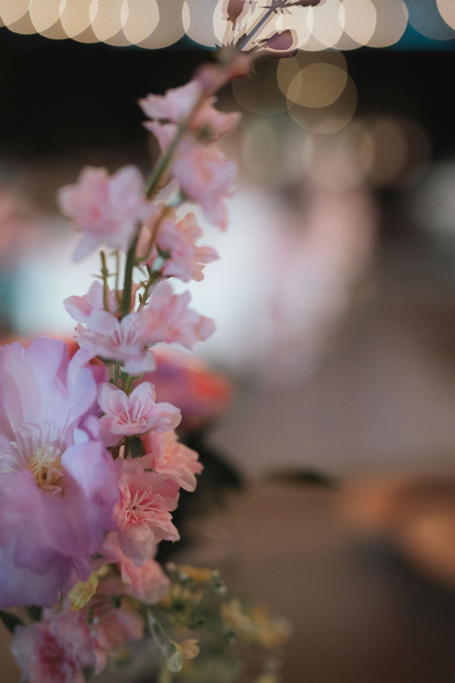 Close-up of delicate pink cherry blossoms and soft purple flowers with bokeh lights in the background.
