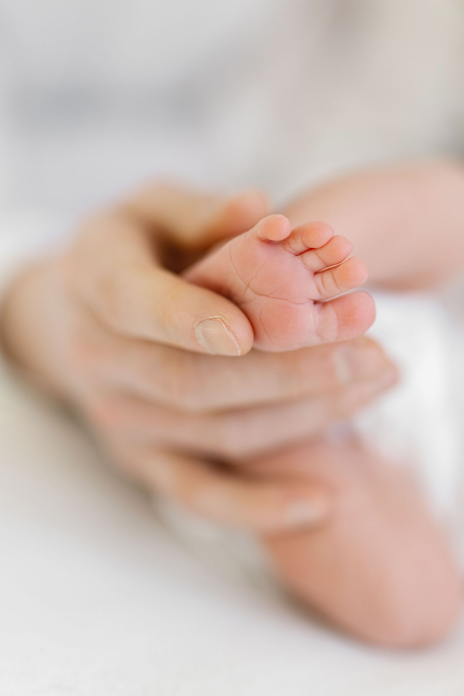 Close-up photos of tiny newborn baby feet being gently held against a white background.