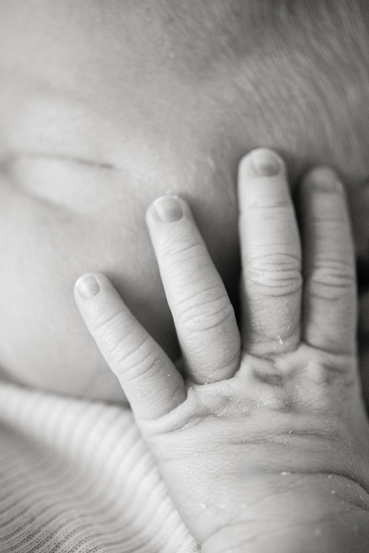 Black and white close-up of a newborn baby's tiny hand resting gently on skin.