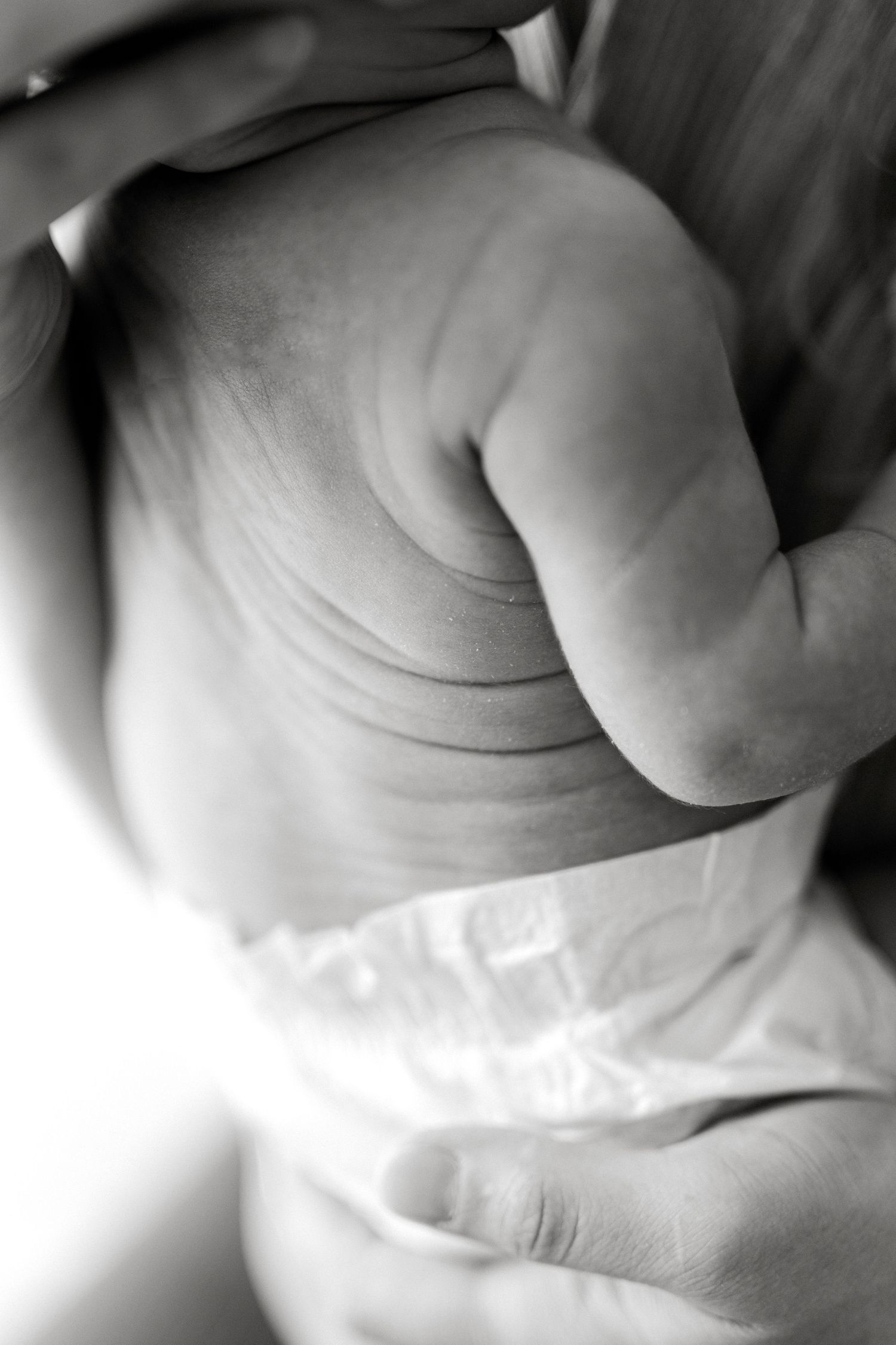 Macro black and white shots of newborn baby's delicate features.