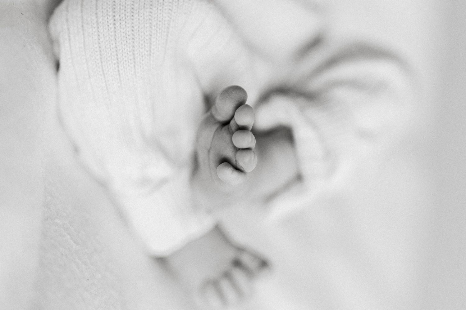 Extreme close-up of tiny baby fingers in black and white.