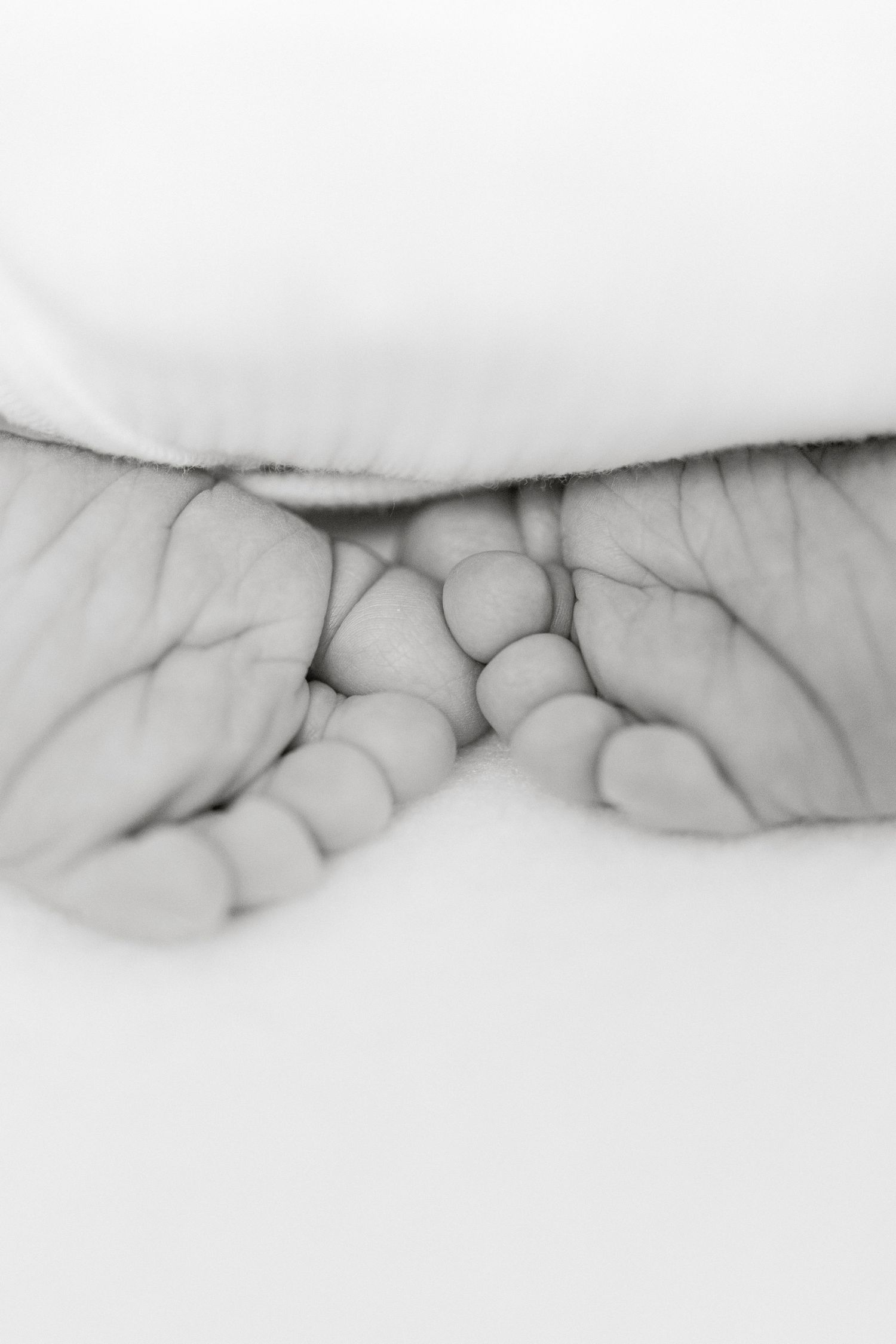 Black and white macro shot of tiny baby toes wrapped in soft blanket.