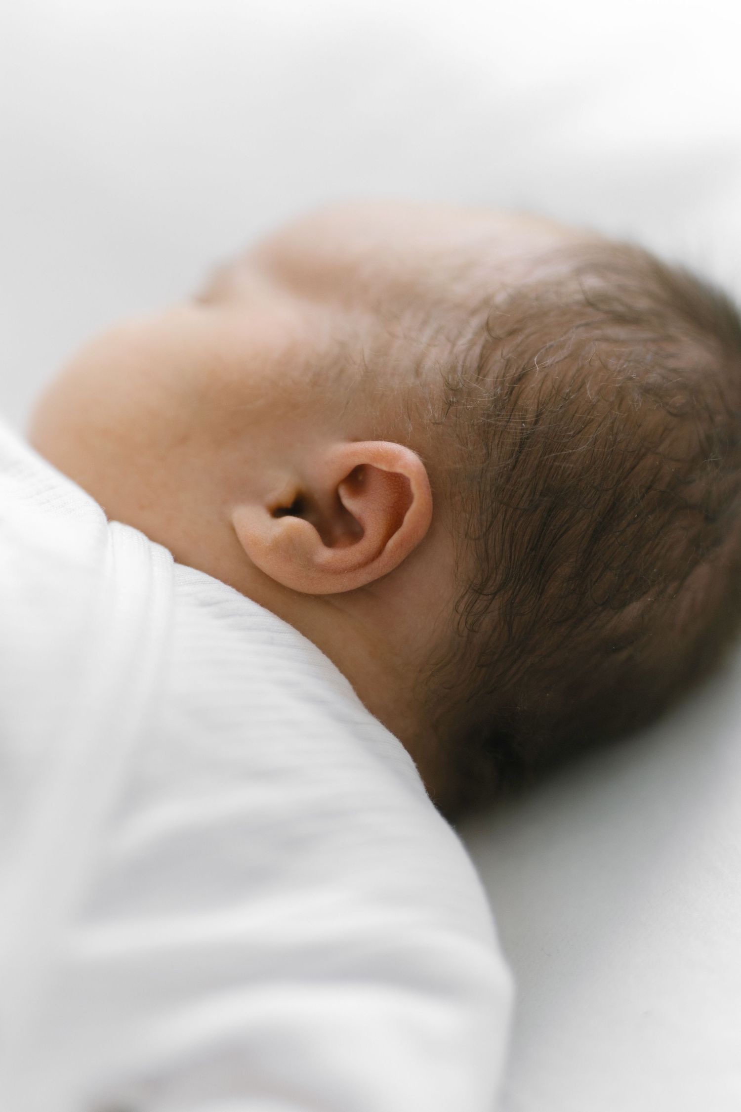 Side view close-up of newborn's ear and soft hair against white background.