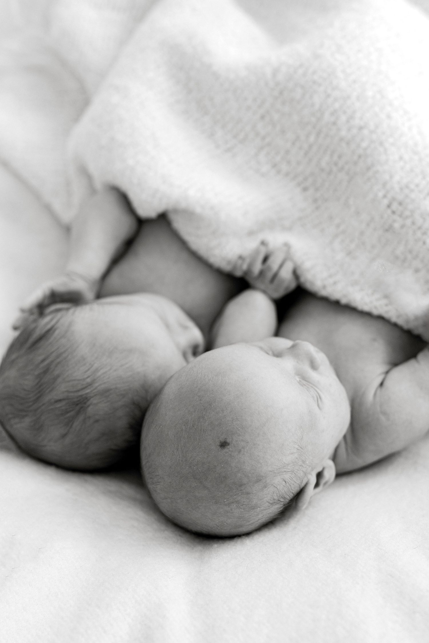 Black and white photo of two newborn twins sleeping side by side under a soft white blanket.
