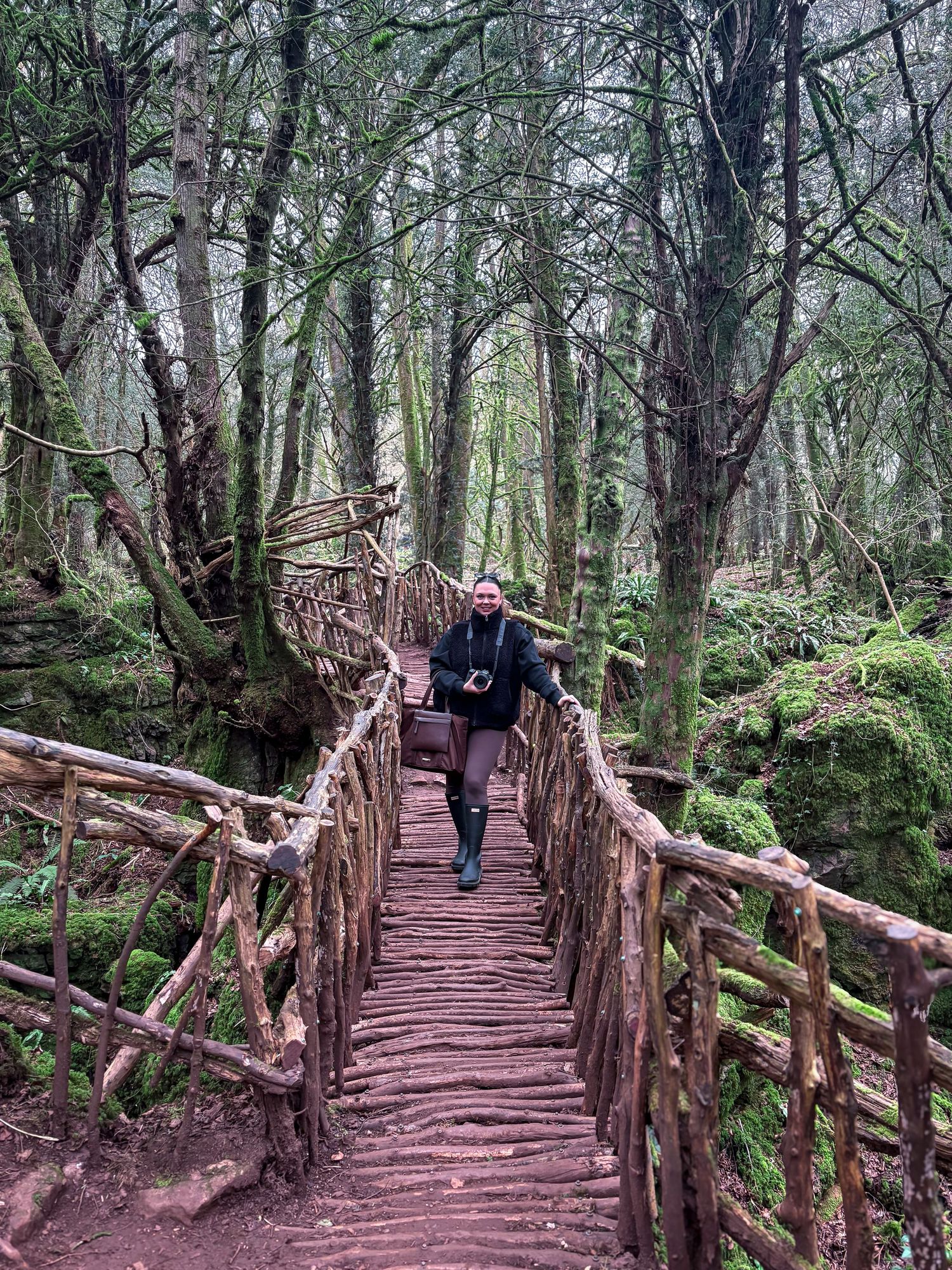 Person walking across a rustic wooden bridge in a lush, moss-covered forest with twisted trees.