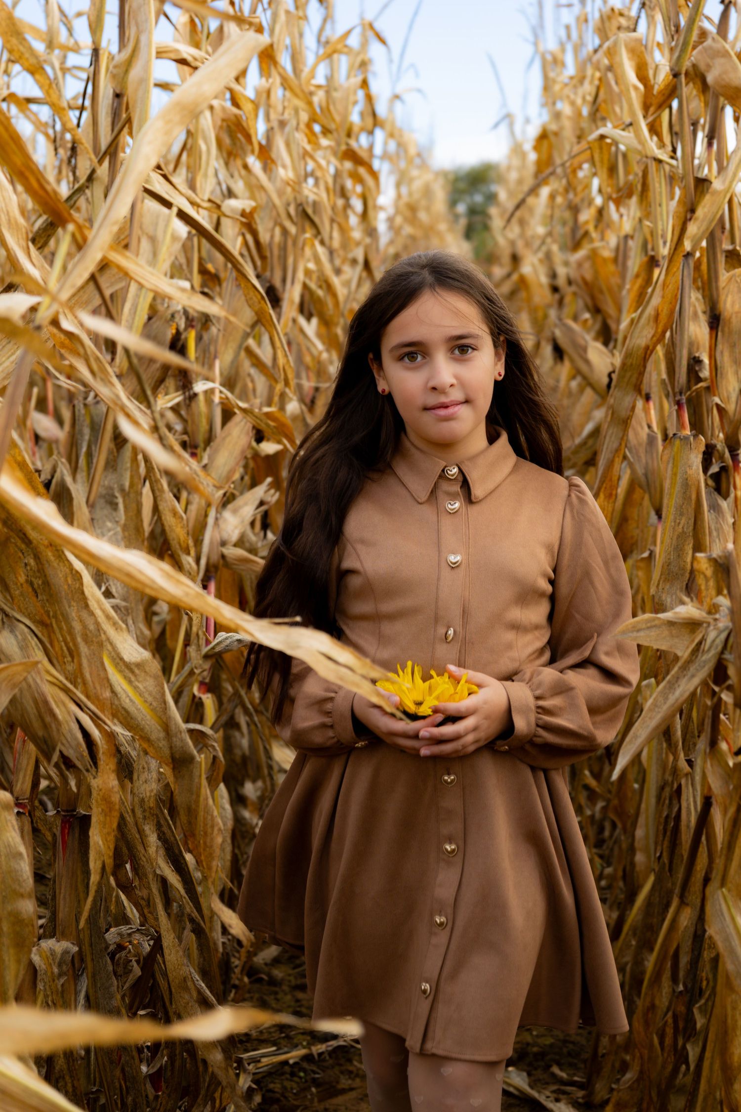 Child in brown dress holding corn while standing in autumn cornfield.