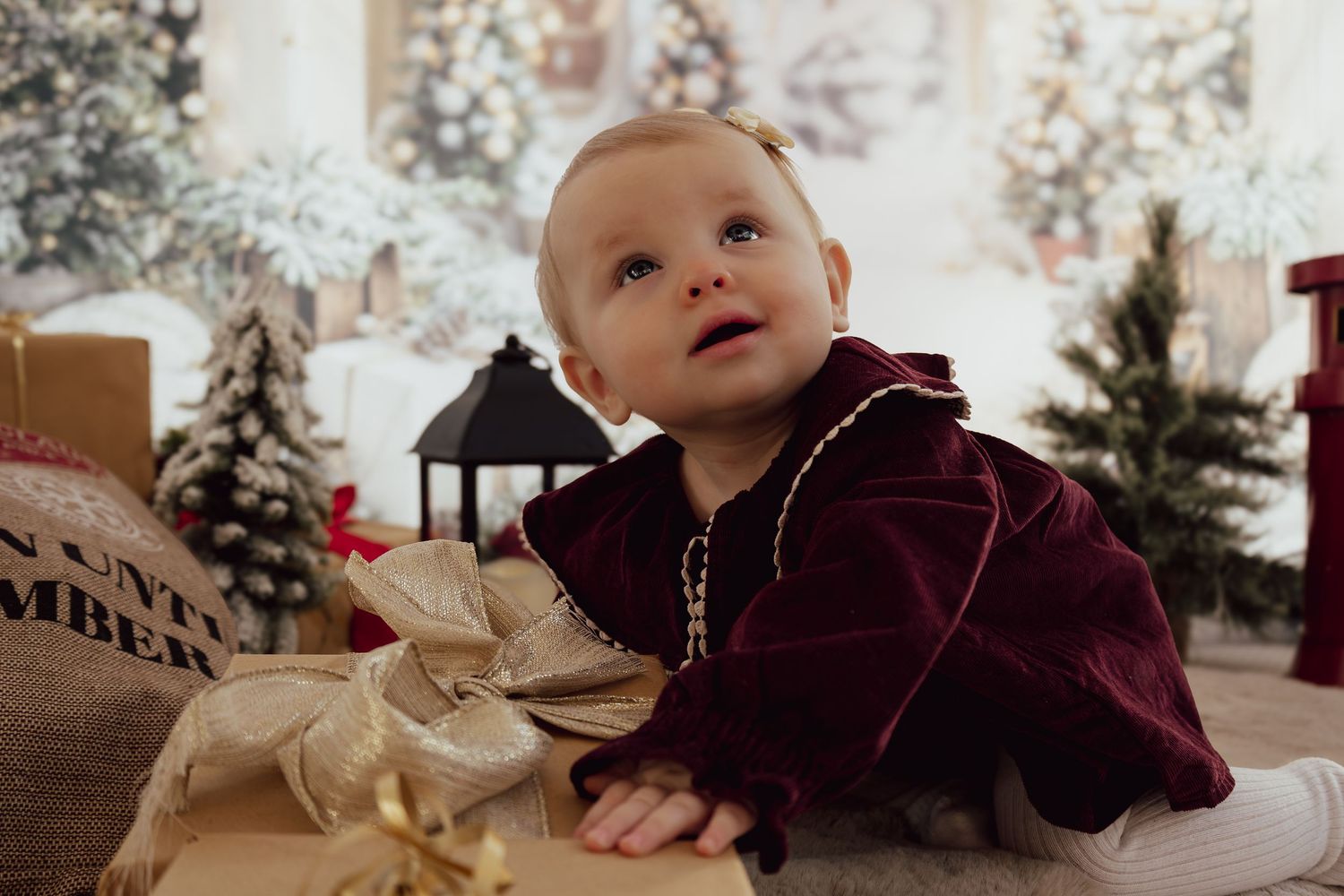 Christmas themed photo setup with decorative North Pole signs and snowy artificial trees.