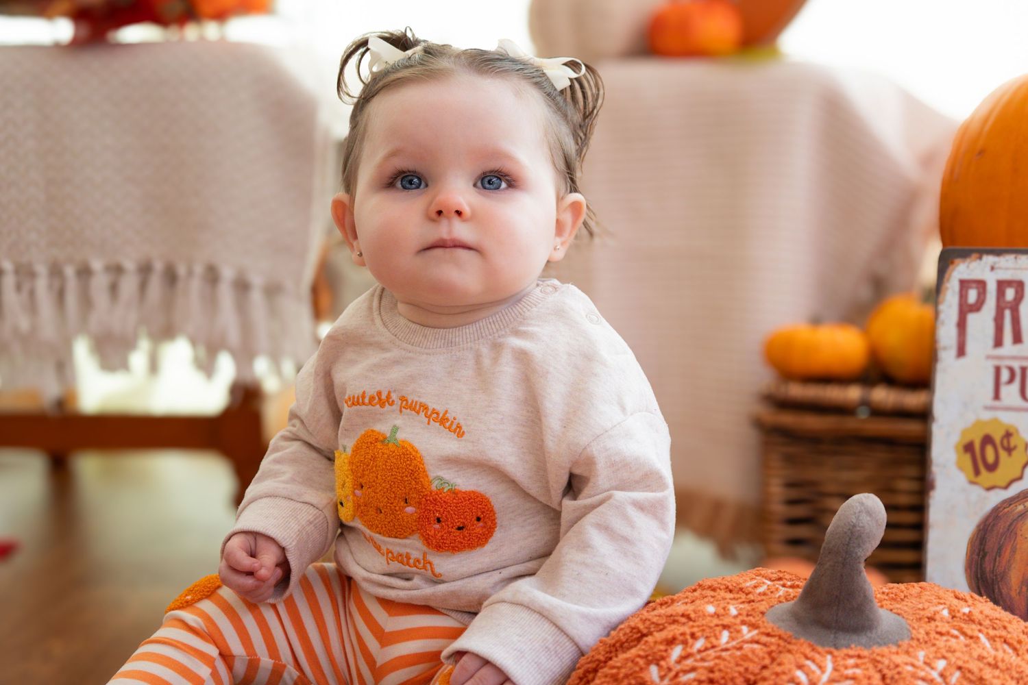 Orange and white autumn-themed photo series with pumpkin decorations.