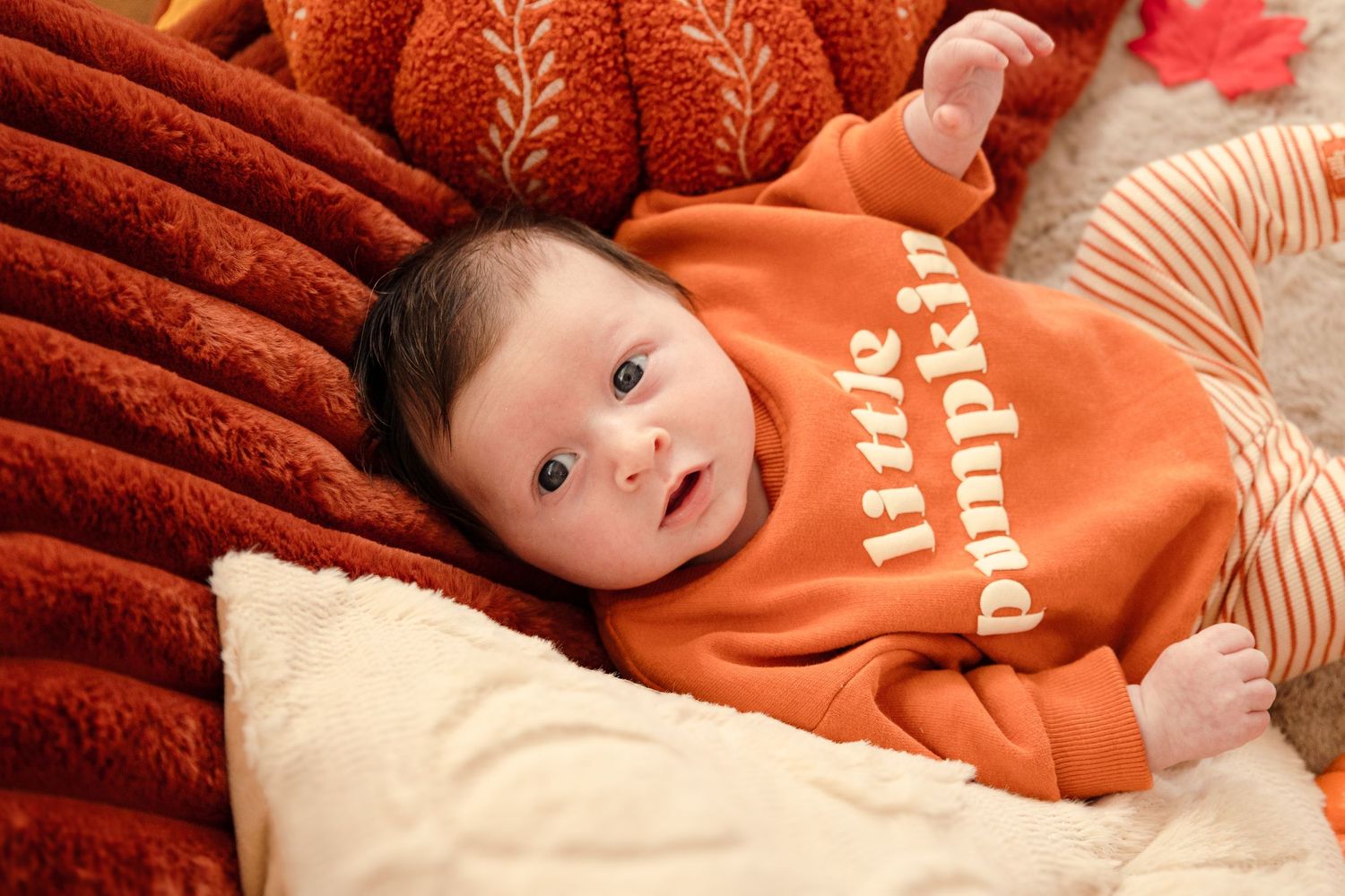 Cozy autumn photo series with orange pumpkins and red cushions.