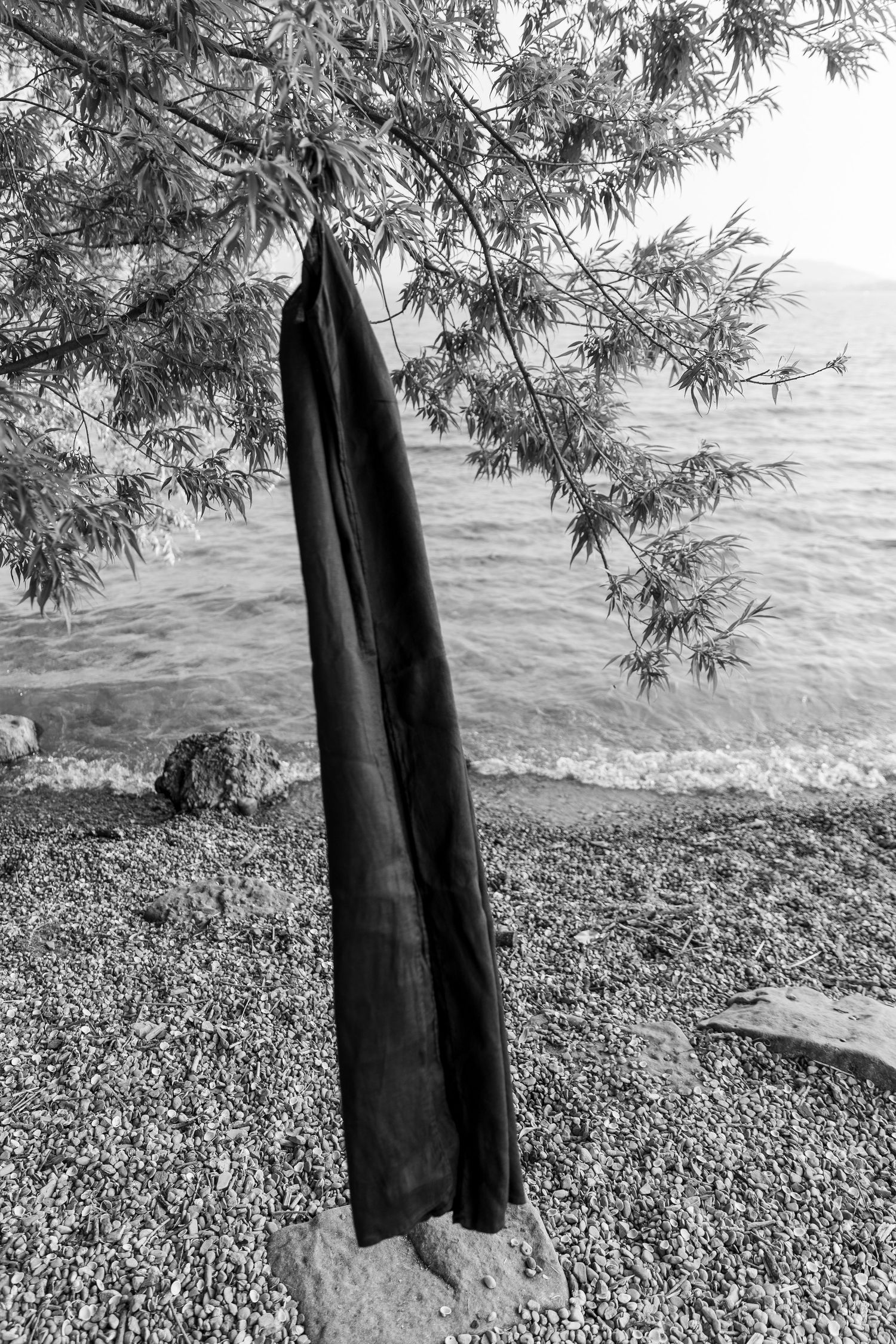 A black dress hanging in the tree before the water photoshoot takes place