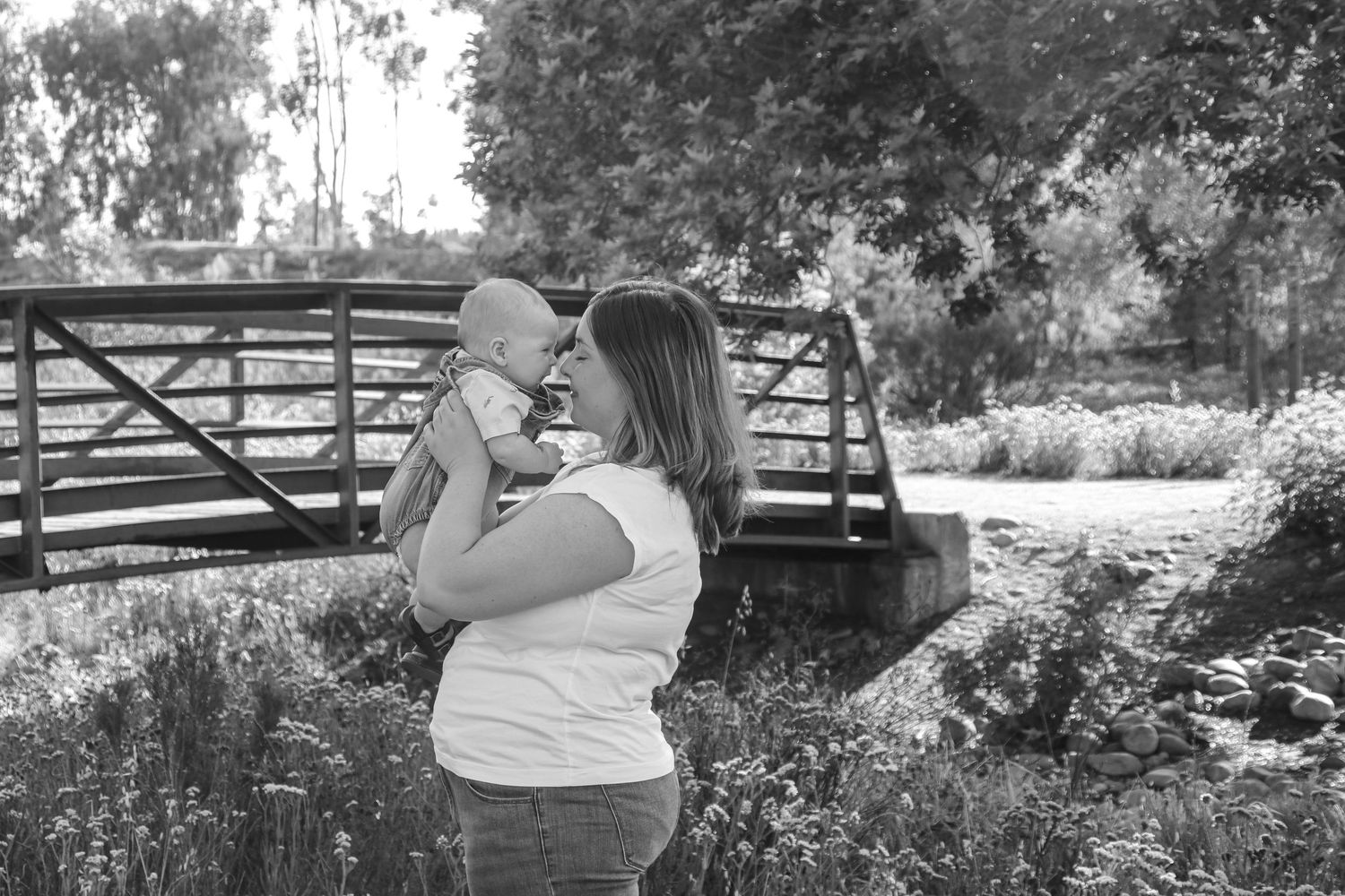 Panoramic outdoor family photoshoot with rustic fence and natural scenery.