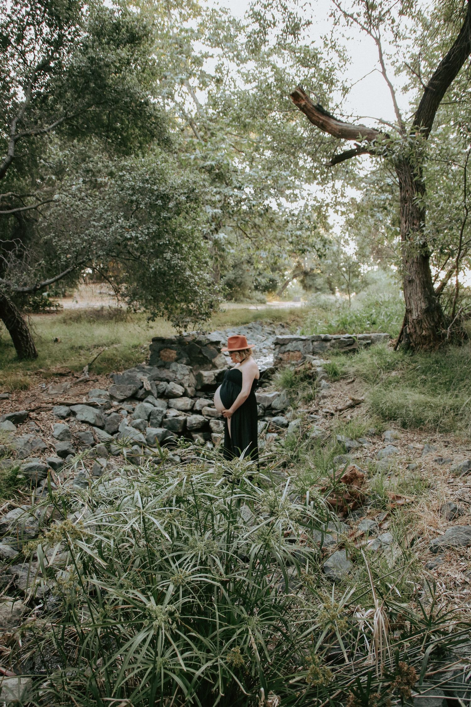 Stone wall and natural landscape with figures in the distance under tree canopy.