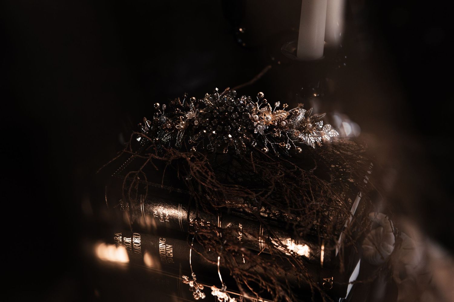 A dark, moody close-up of a bird's nest with twigs and dried grass, illuminated by warm golden light.