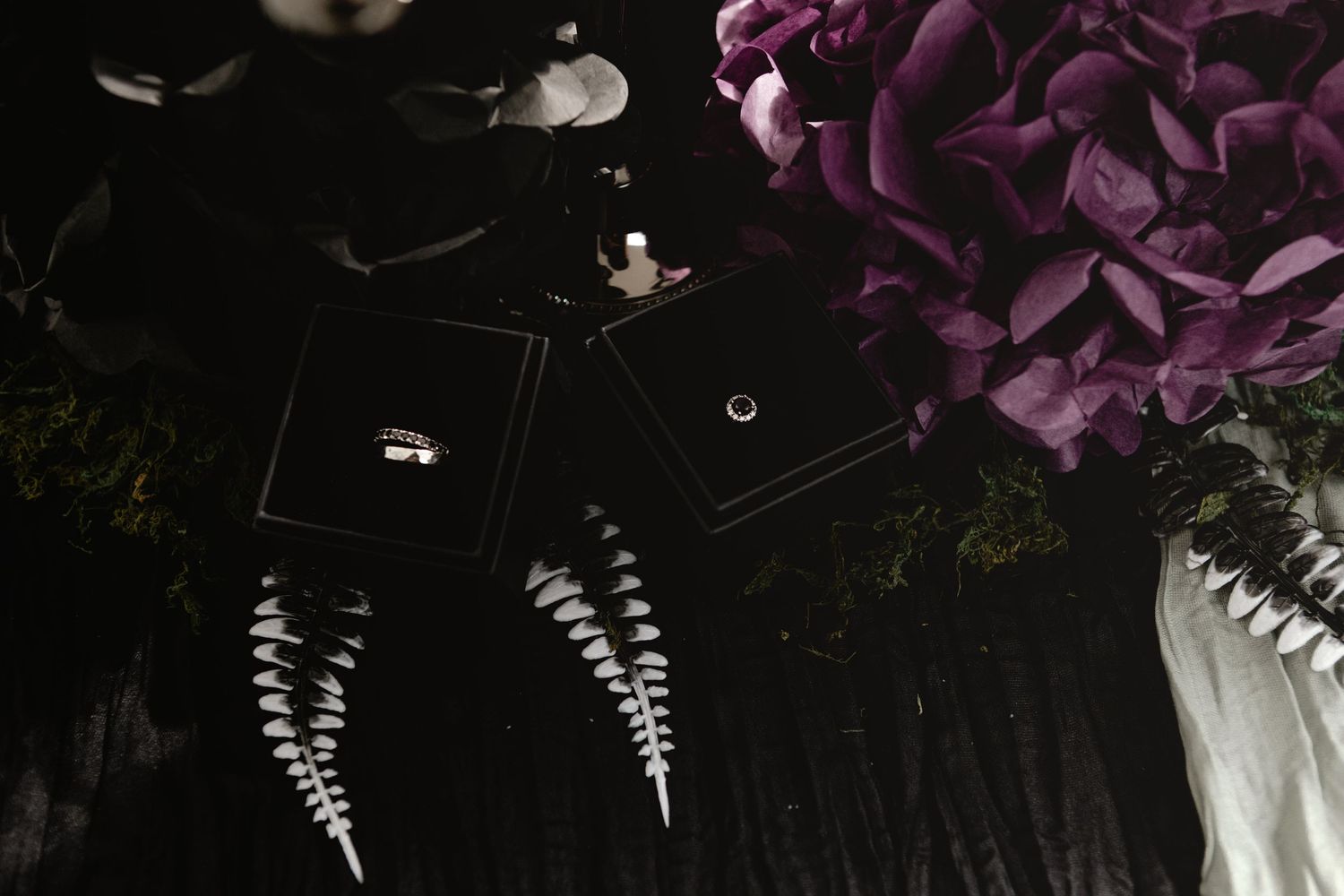 Dark moody flat lay of wedding rings in boxes surrounded by purple flowers and delicate white feathers.