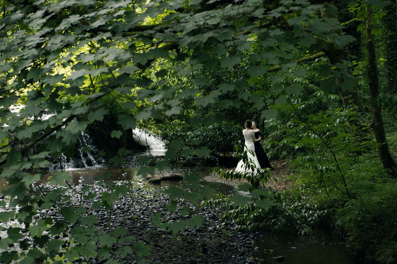 A woman in a black and white gown stands by a serene woodland stream surrounded by lush green foliage.