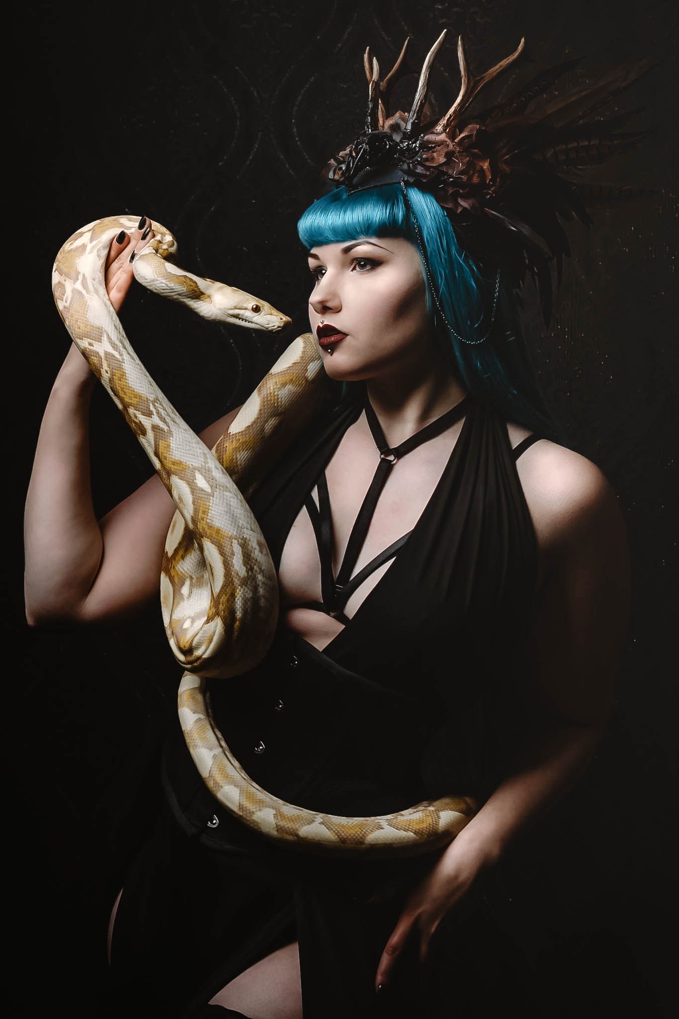 Alternative model with blue hair poses dramatically with albino python snake against dark background.