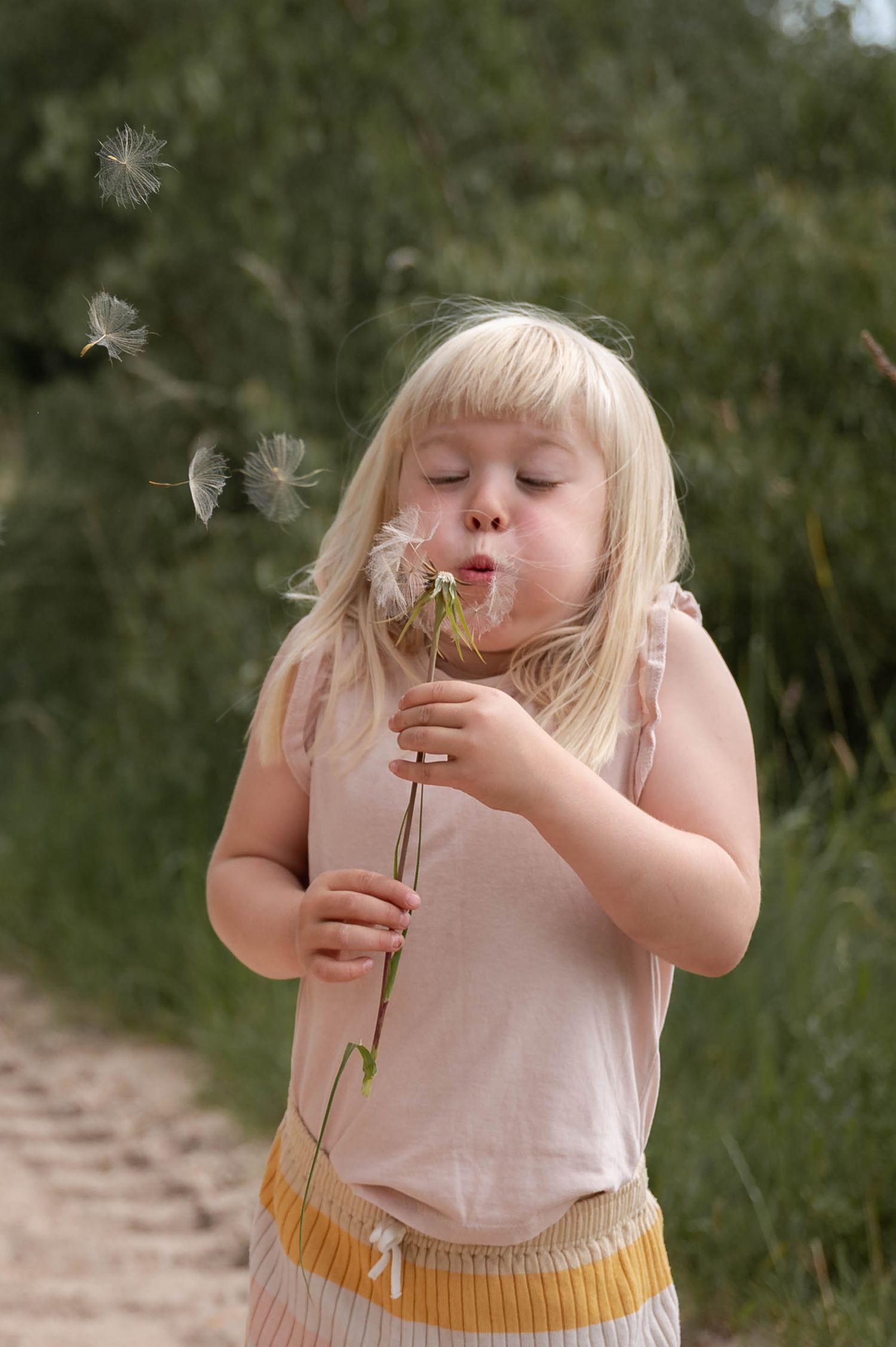Pige puster mælkebøttefrø under naturlig familiefotografering i grønne omgivelser