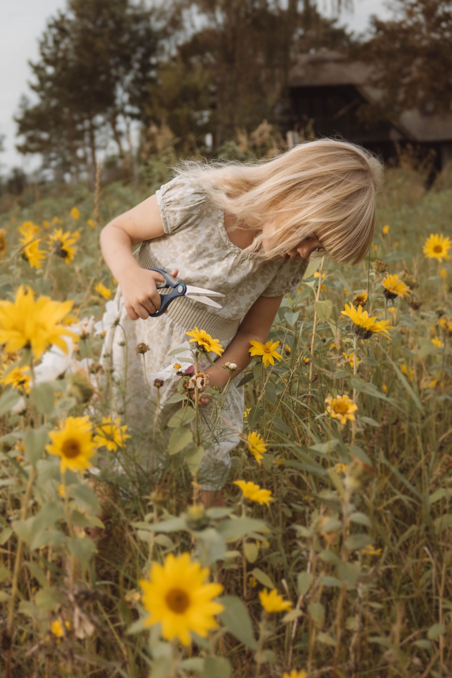 Blonde girl in floral dress picking sunflowers in a field on a cloudy day.