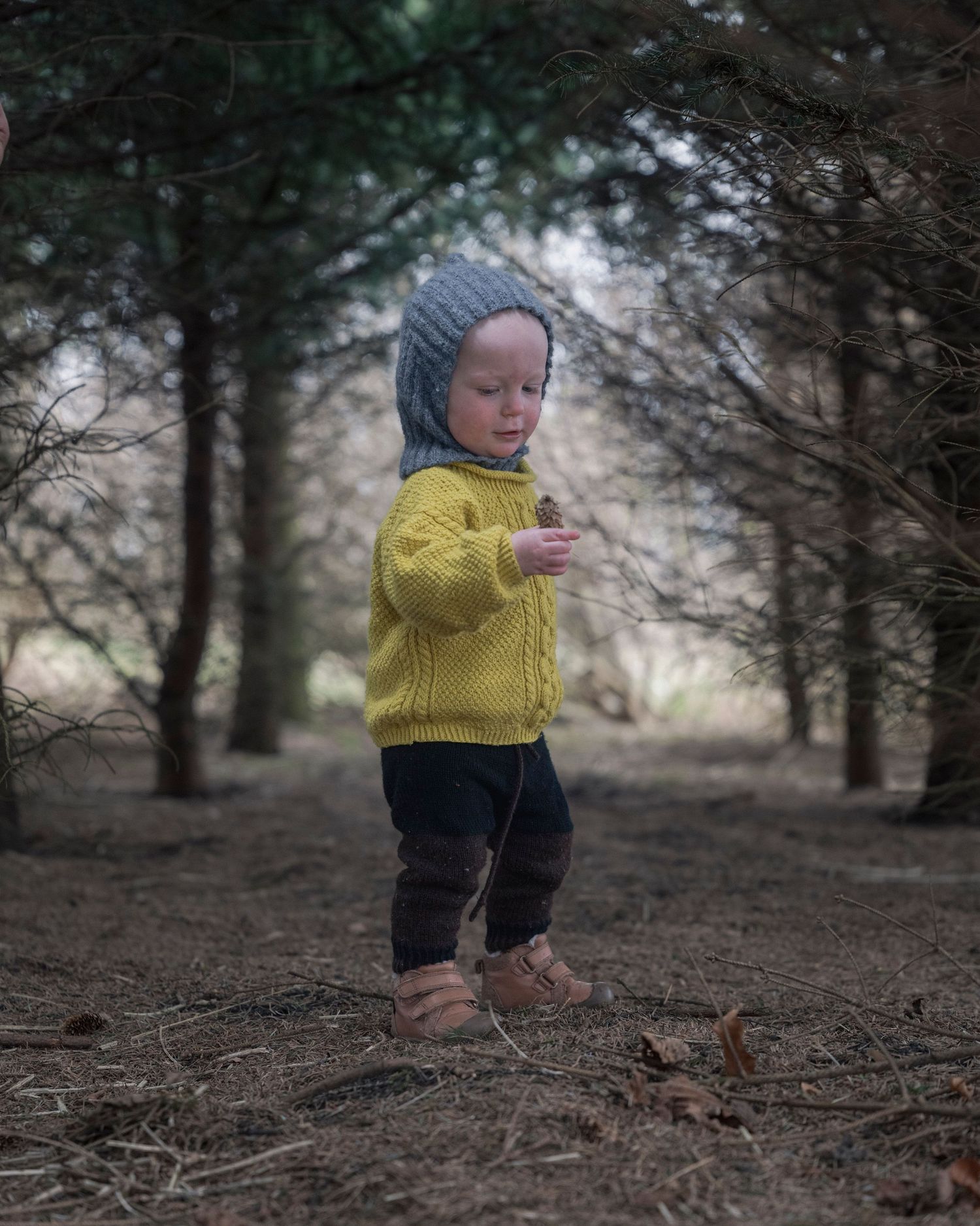 Toddler in yellow knit sweater and gray bonnet hat exploring a forest path among pine trees.