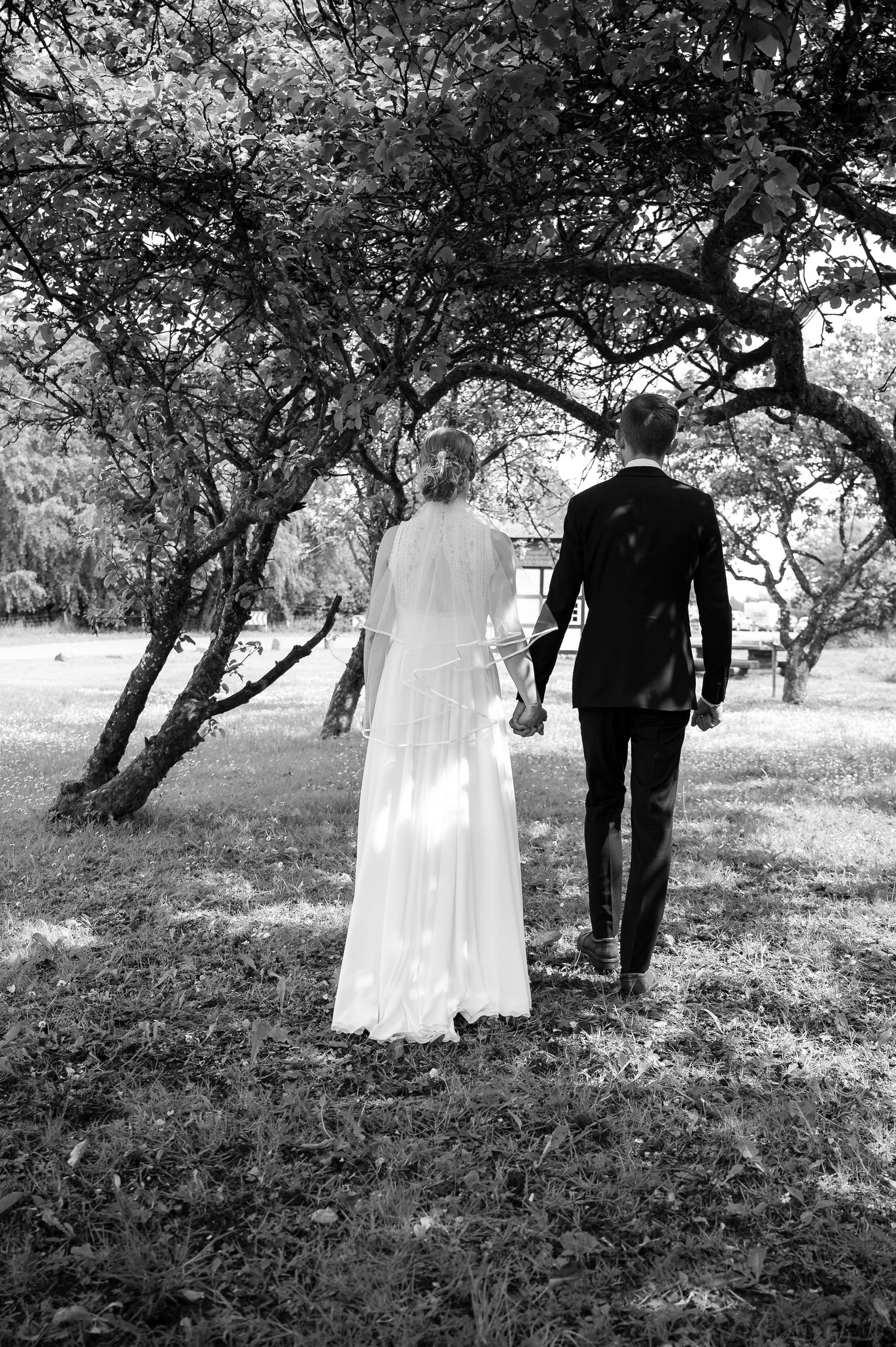 A couple in wedding attire walks through an orchard with white blossoms and trees.
