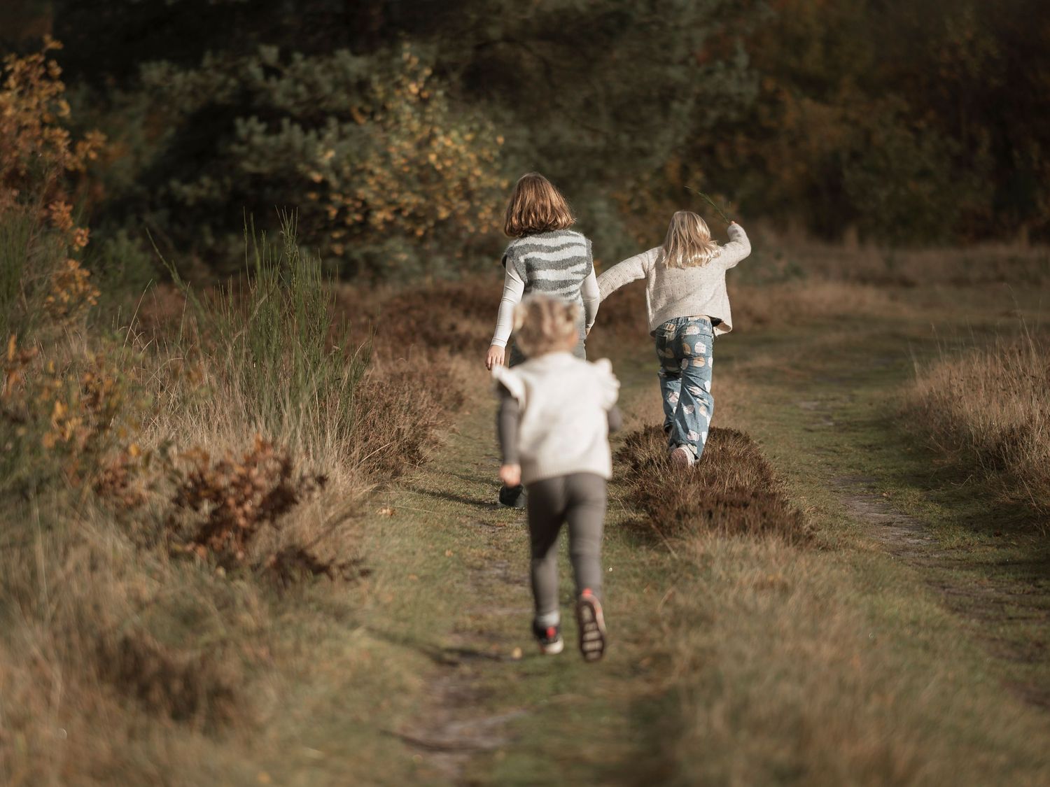 Three children running together along a rural dirt path surrounded by autumn foliage and golden grasslands.