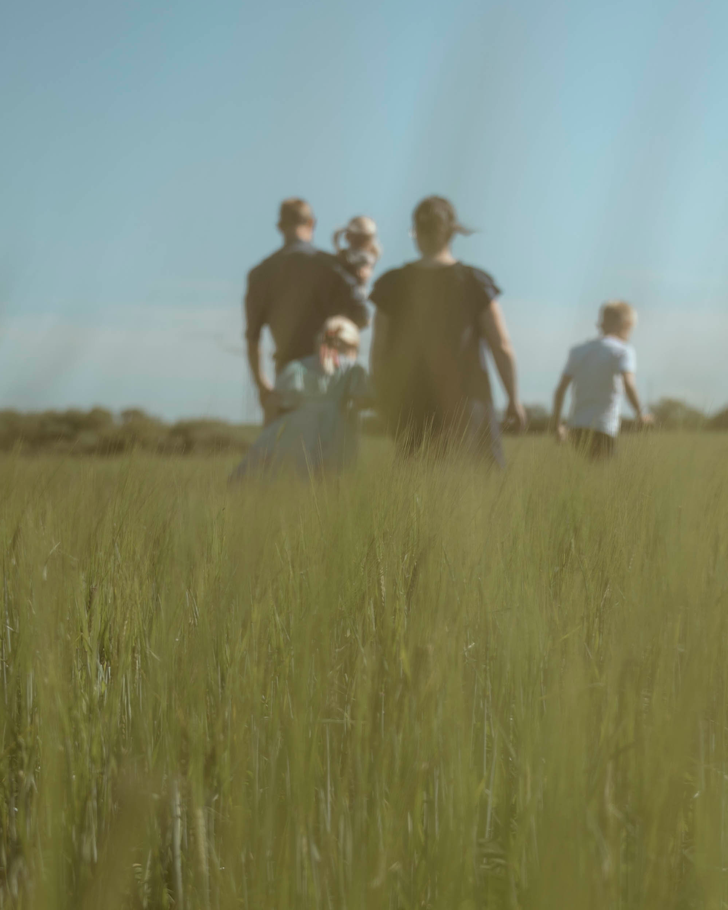 Family walking together through a lush green field on a sunny day, viewed from behind.