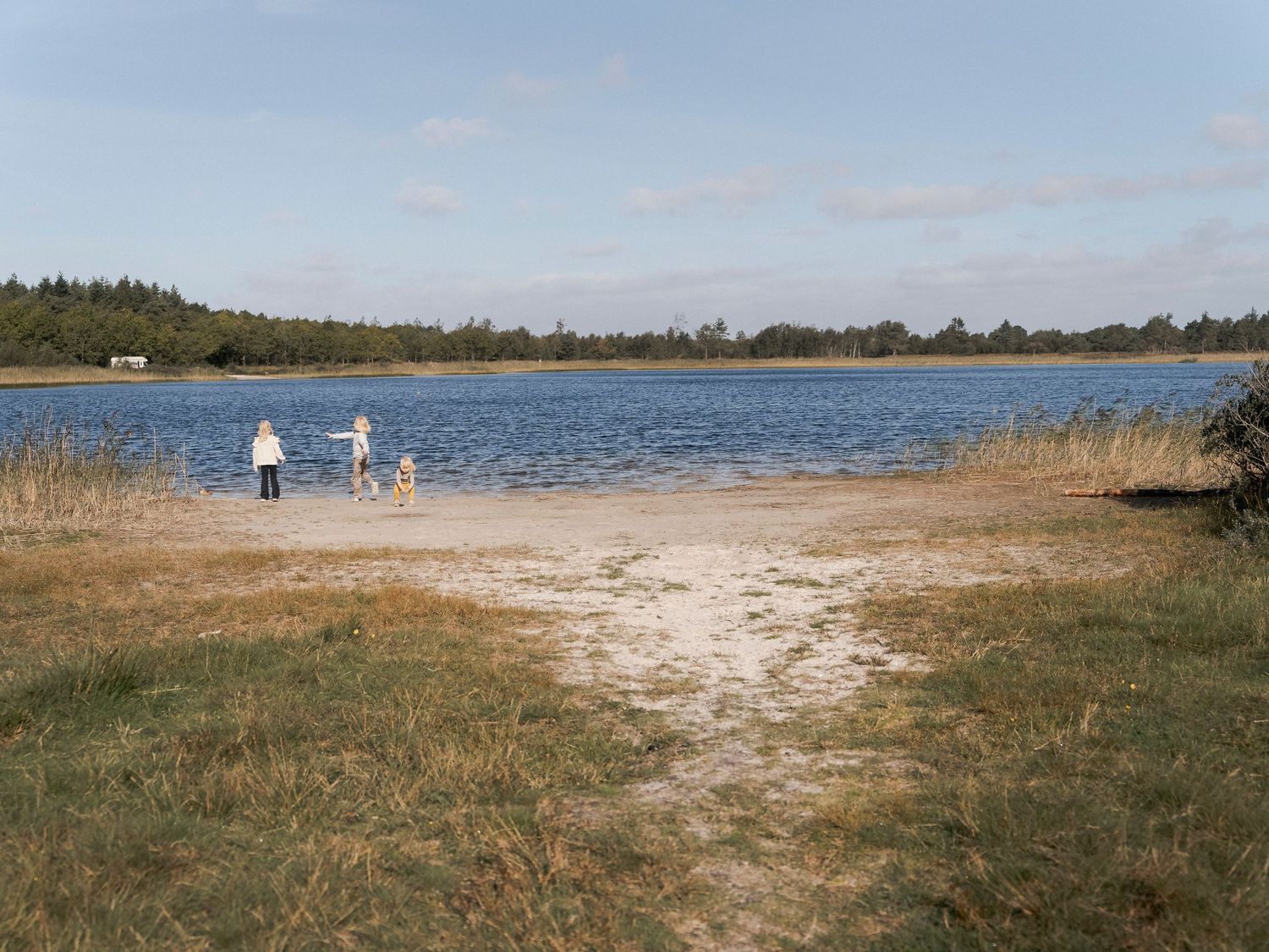 Two people and a dog stand by a serene lake shore surrounded by grassland and dense forest under a blue sky.