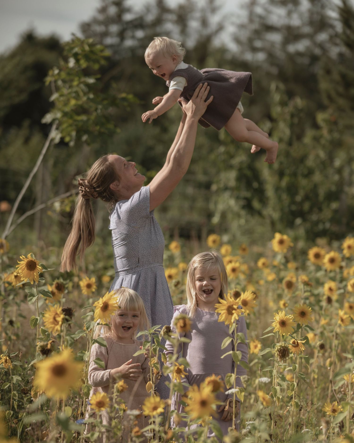 Mor og tre børn under familiefotografering i solsikkemark nær Holstebro.