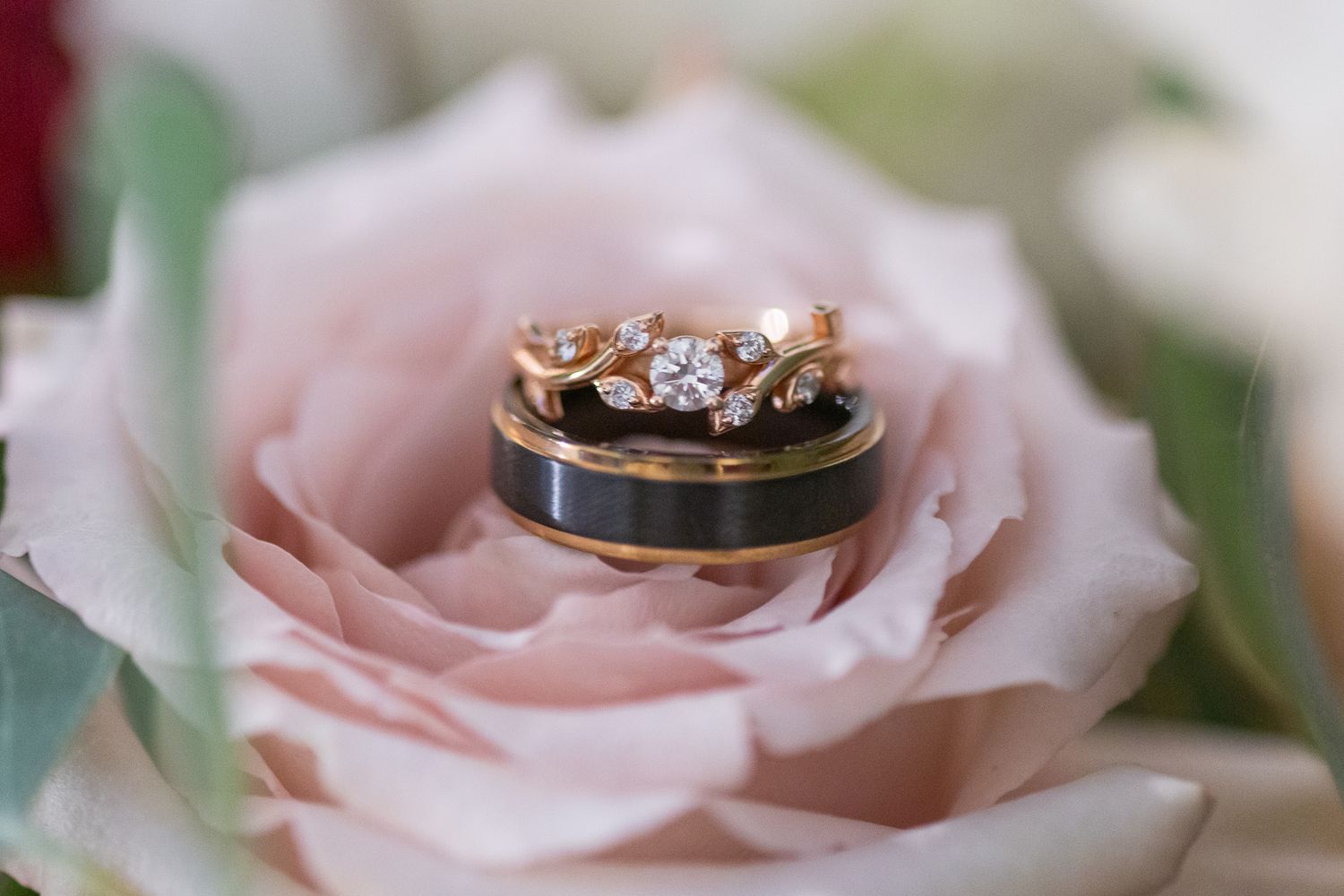 Close-up of delicate pink rose with wedding rings nestled in petals.