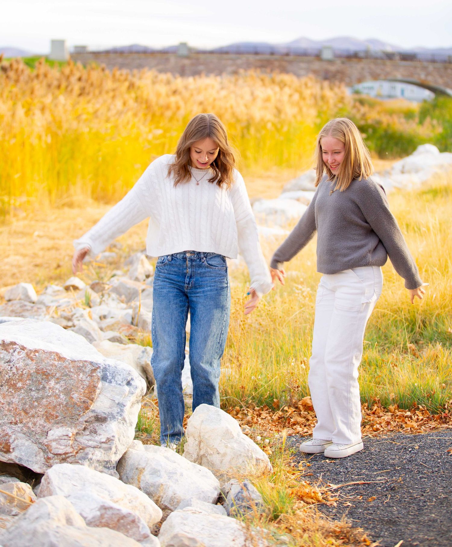 Two friends walking together along a scenic path with tall golden grass and rocks on a sunny autumn day.