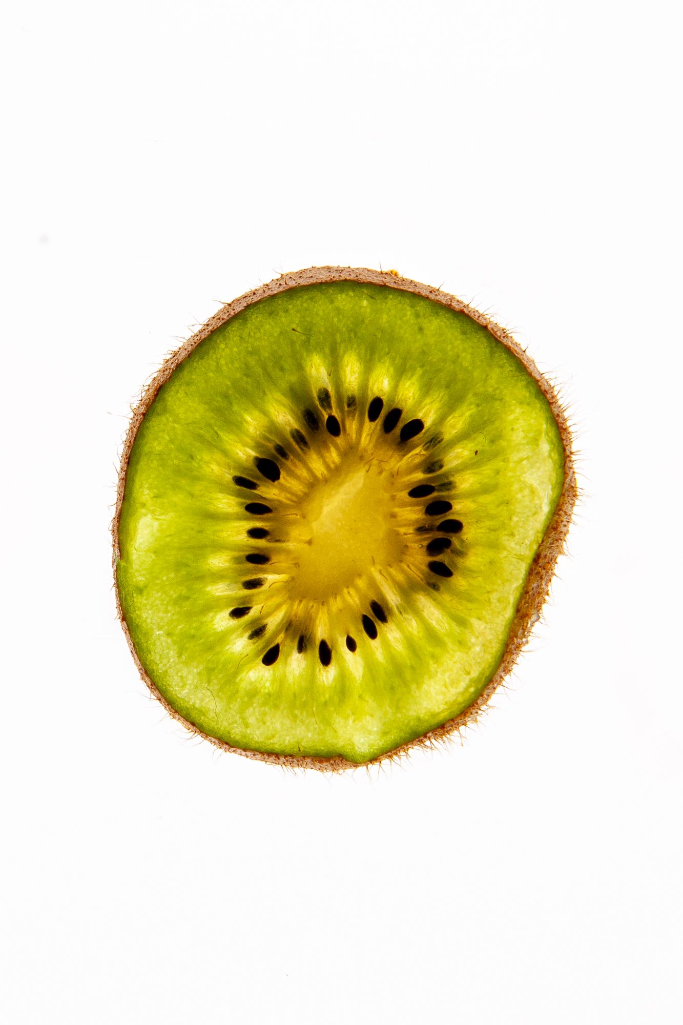 Studio photo of kiwi