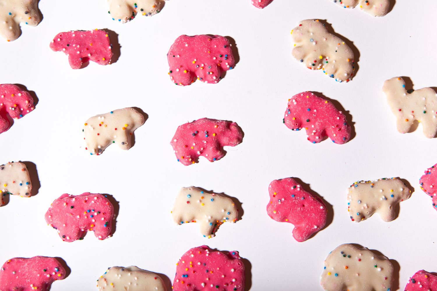 Studio photo of animal cookies