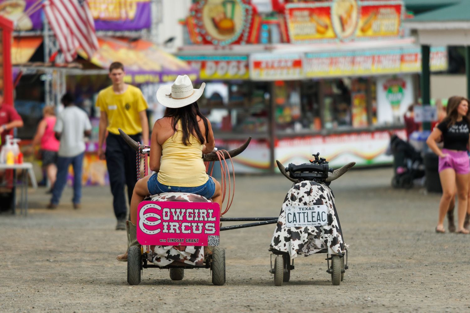 Woman in cowboy hat rides Cowgirl Circus cart pulling cow-spotted wagon at a colorful county fair.