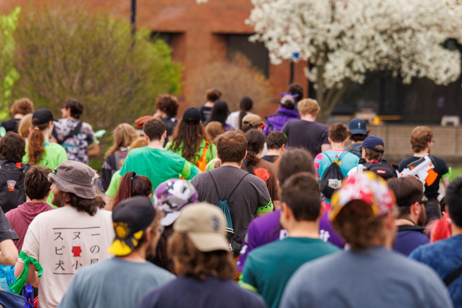 Large crowd of people walking outdoors during a spring race event, with blooming trees and brick buildings in the background.