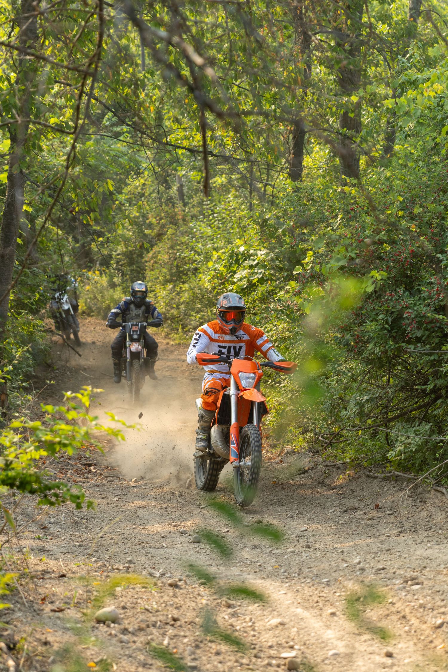 Dirt bike riders navigate a dusty forest trail with the lead rider on an orange motorcycle kicking up dust.