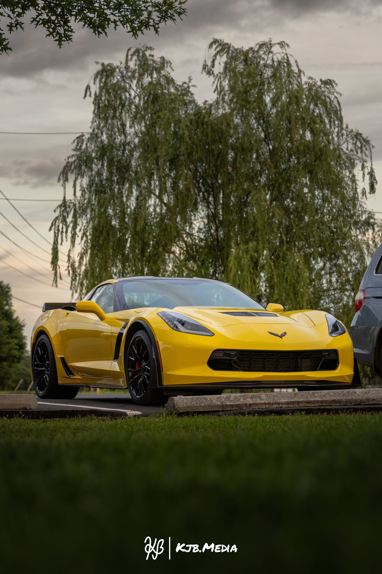 Yellow Chevrolet Corvette photographed from side angle against moody sky and willow trees.