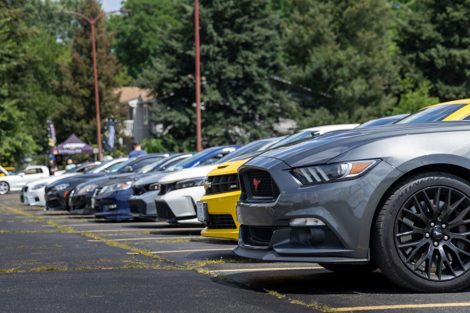 Row of Ford Mustang sports cars parked in a lot with trees in the background showing various colors and models.