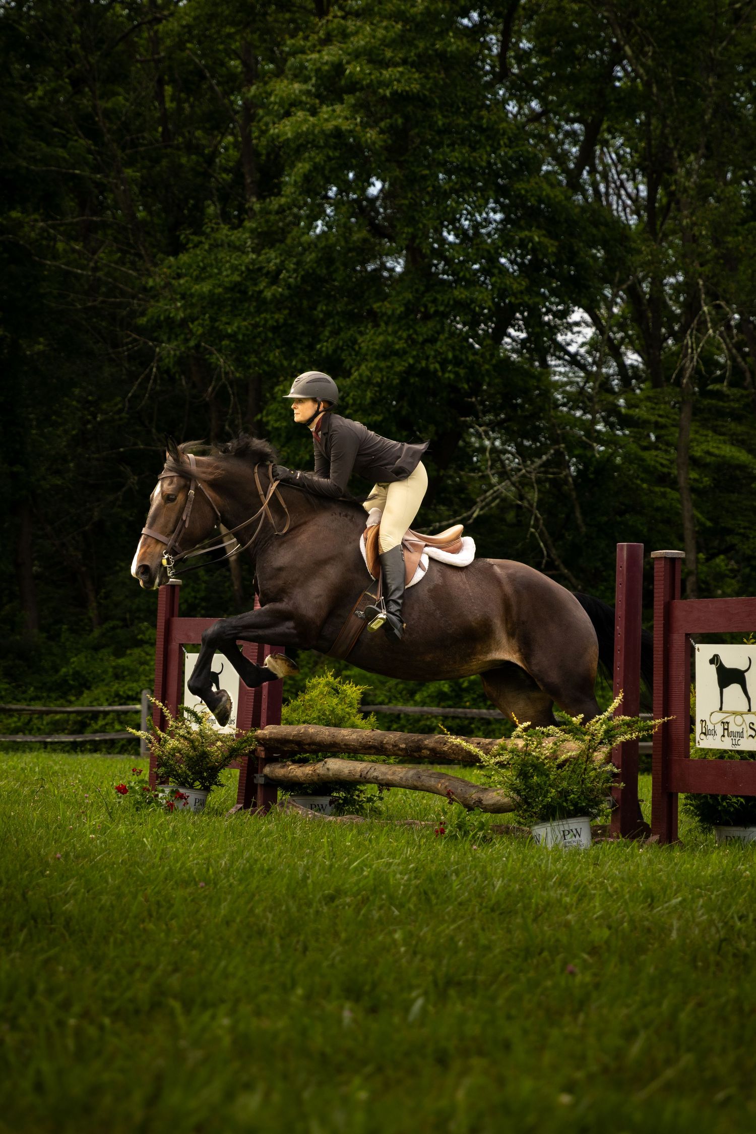 Equestrian and brown horse jumping over a fence obstacle during a competition in a wooded setting.