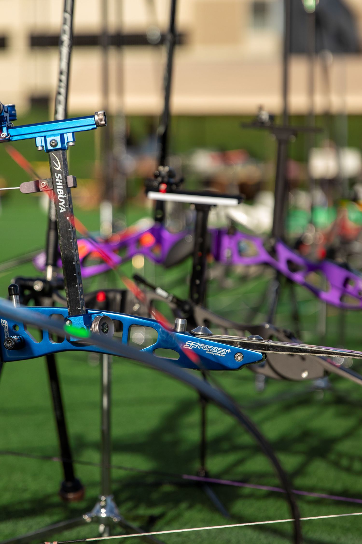 Close-up detail of modern compound bow equipment with blue and black components.