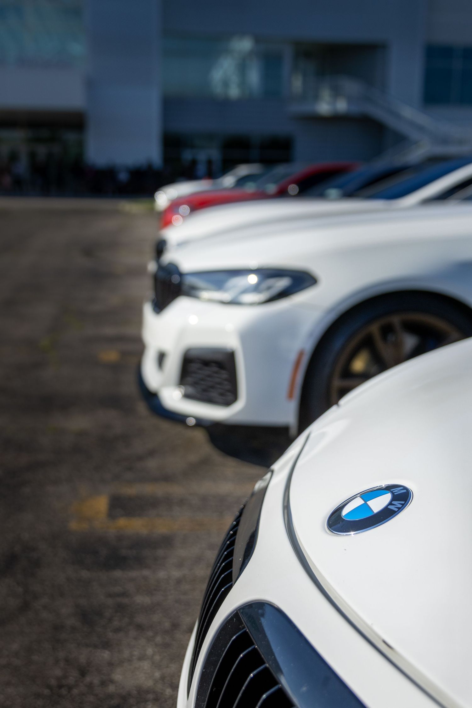 Close-up of white BMW vehicle showing distinctive badge and hood details.