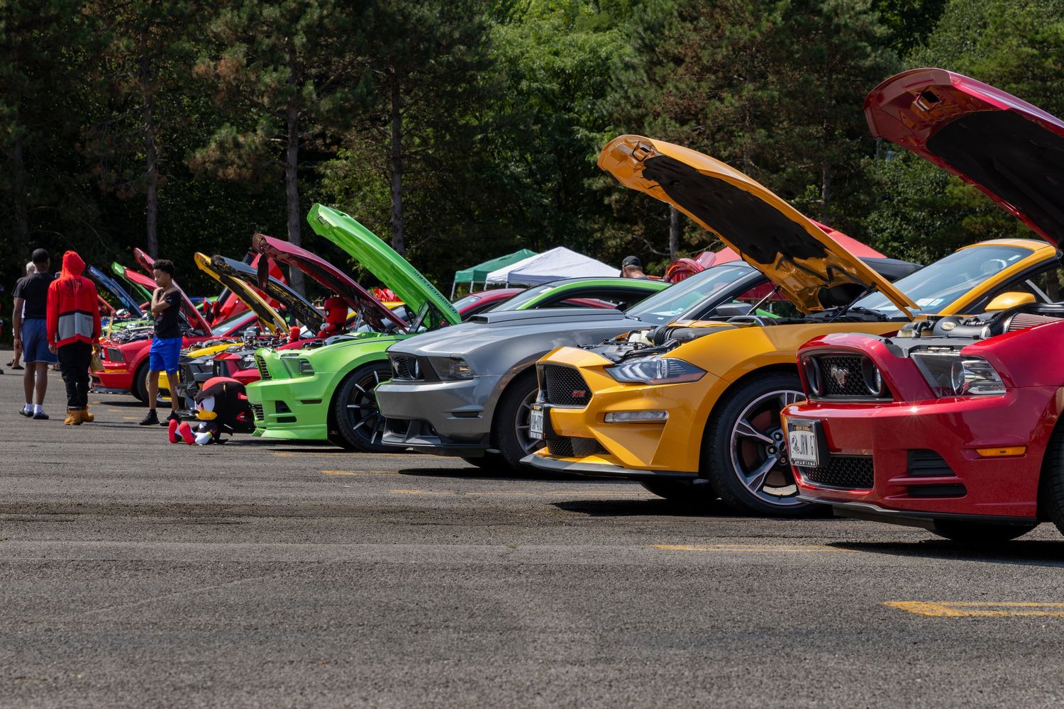A row of colorful sports cars including Ferraris, Lamborghinis and McLarens parked at an outdoor car show display.