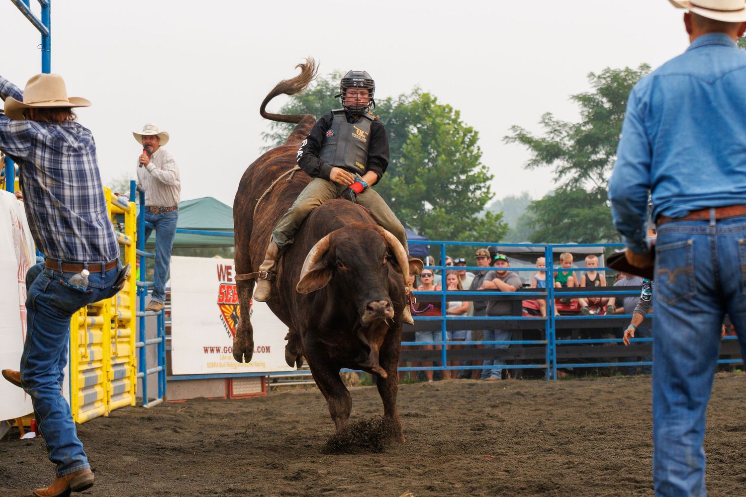 A rodeo cowboy rides a bucking brown bull at an outdoor rodeo event with spectators watching behind a metal fence.