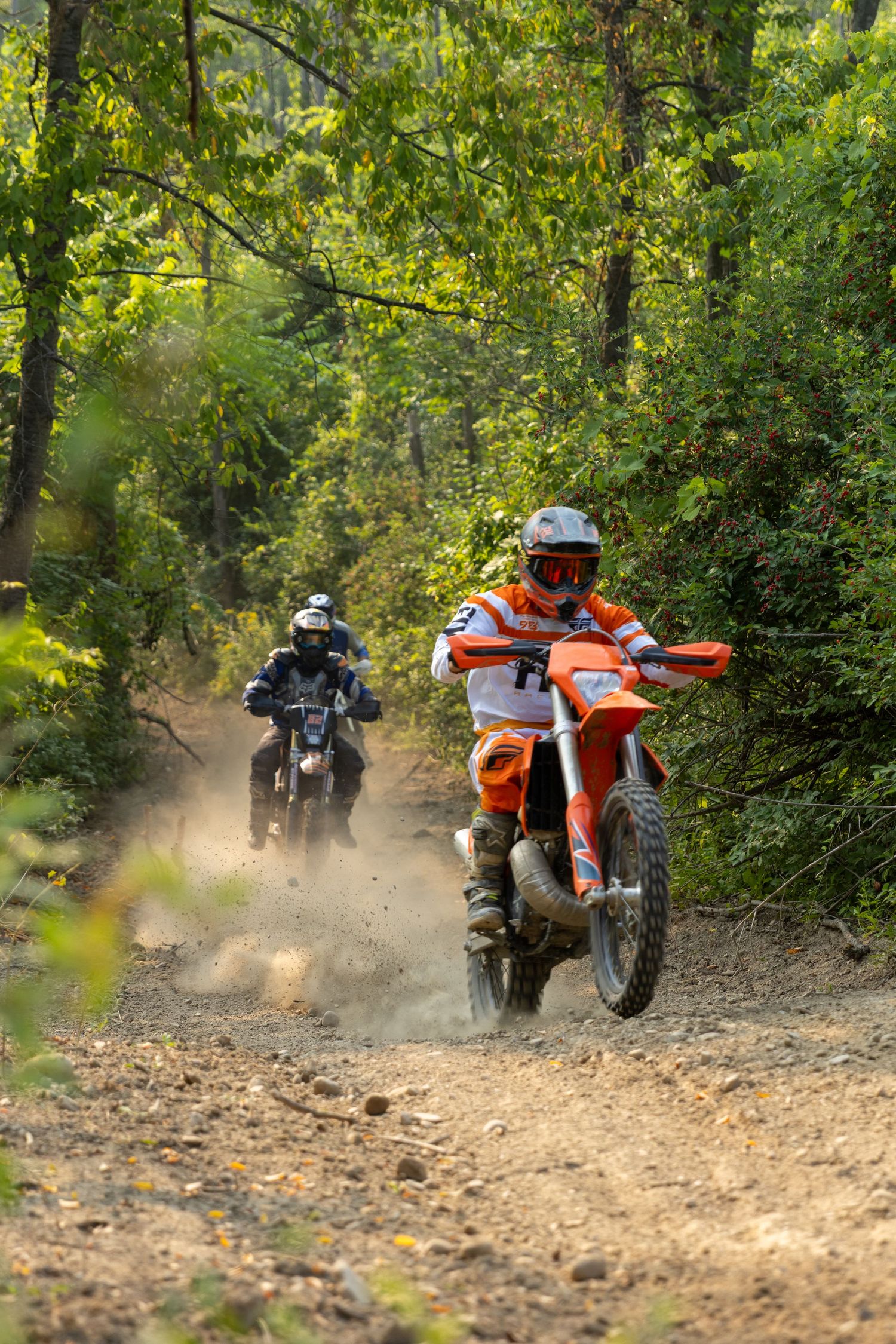 A sequence of dirt bike riders kicking up dust while riding through a wooded trail in late afternoon sunlight.