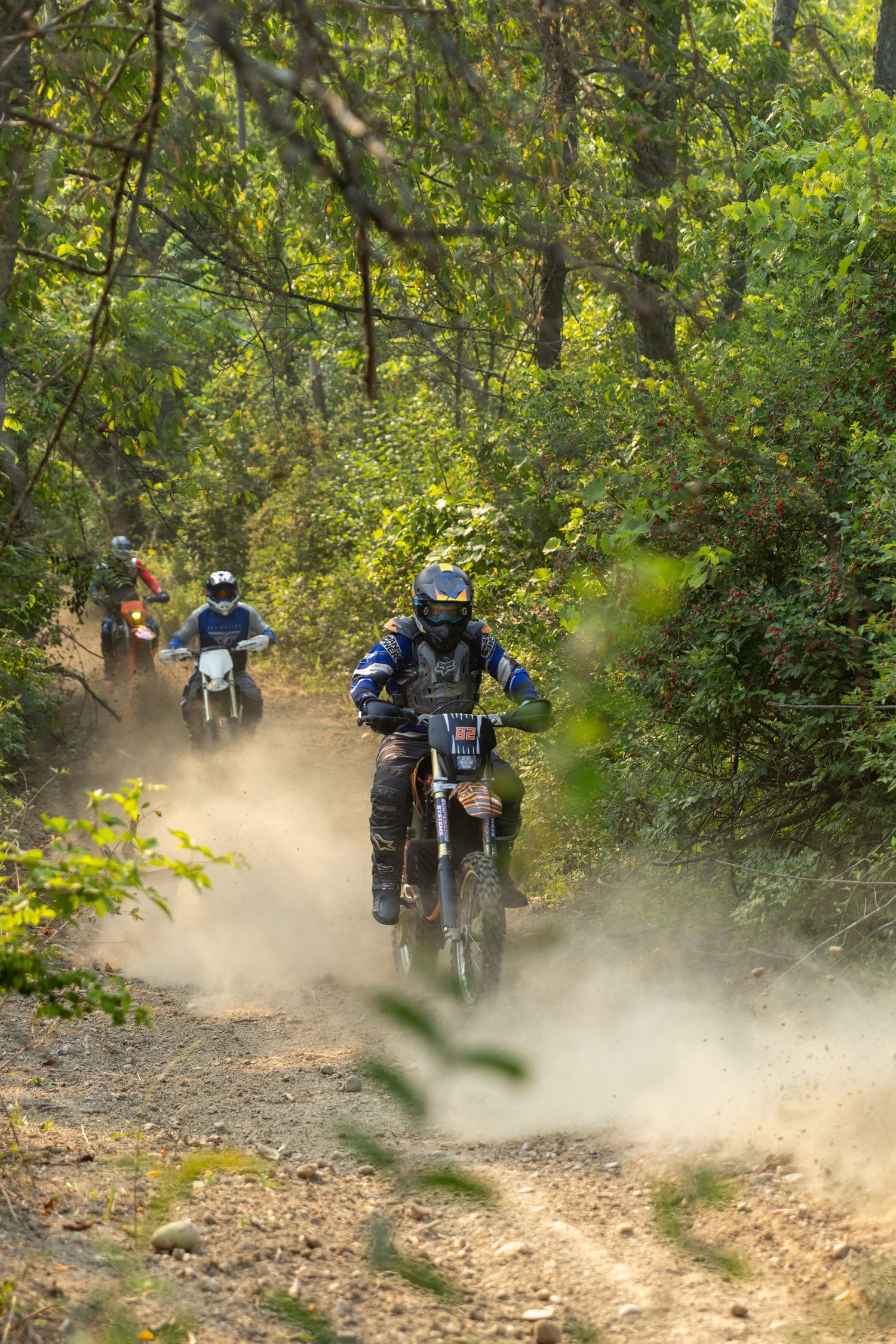 Motorcyclists riding in sequence on a dusty forest trail through green wooded terrain.