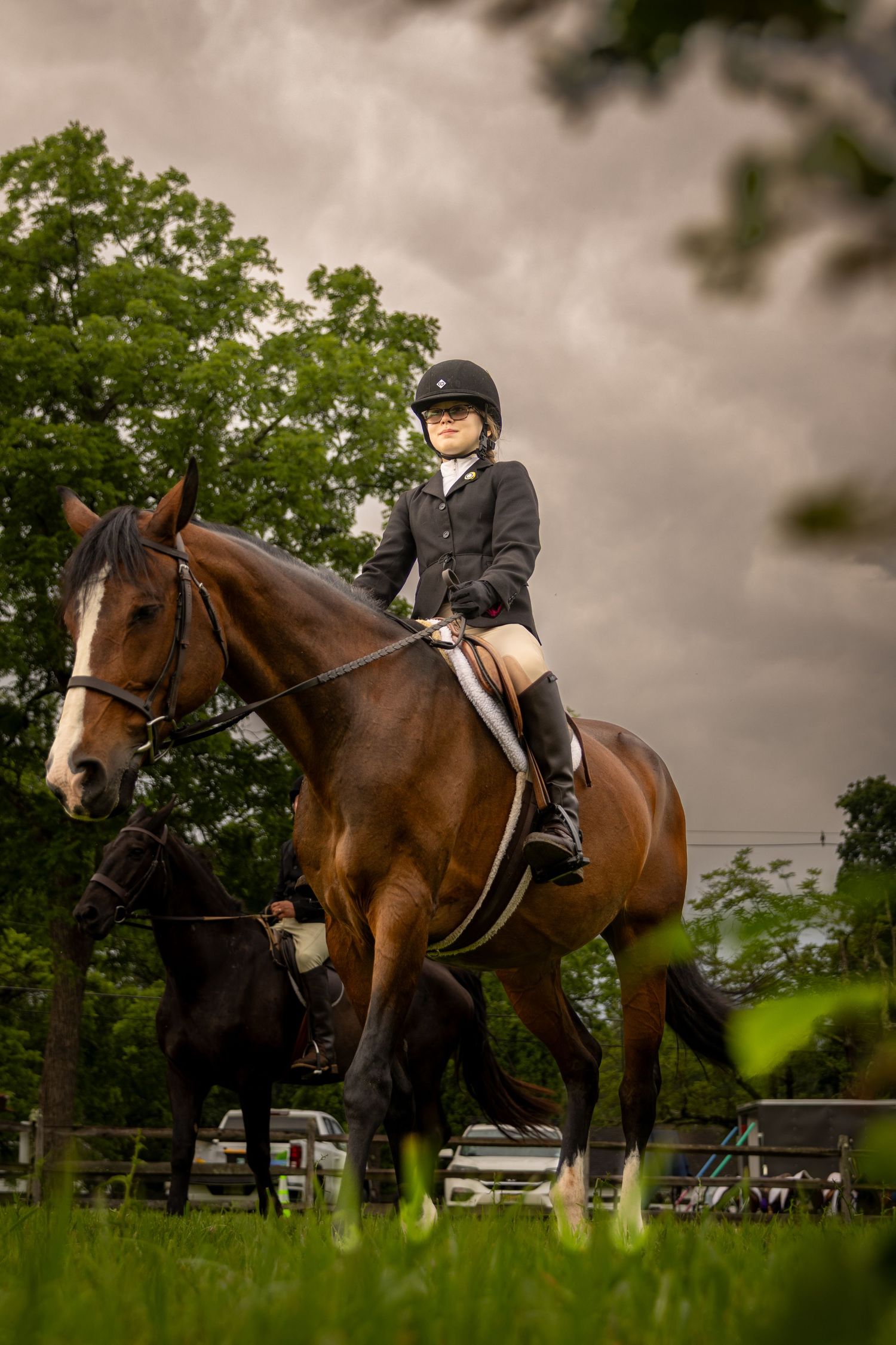 Equestrian rider on brown horse photographed from low angle through grass.