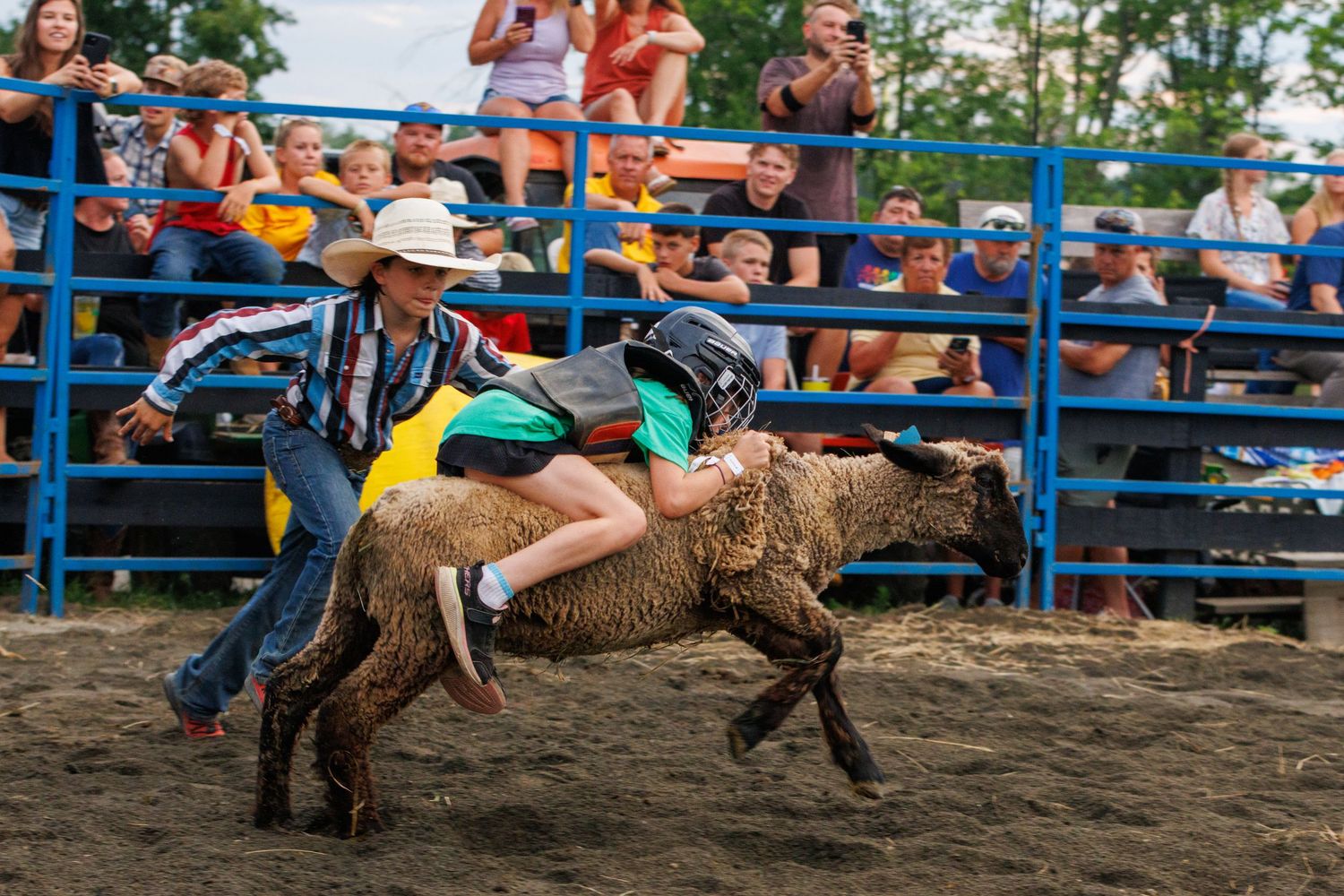 Child riding a sheep at a rodeo mutton bustin event with a handler nearby and crowd watching.
