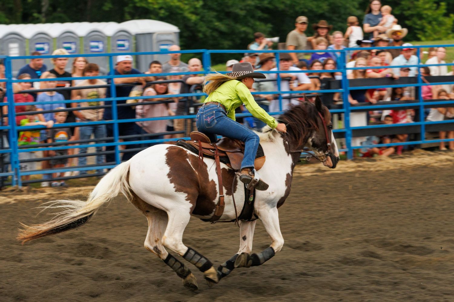Rodeo rider on a brown and white paint horse galloping in an arena with a crowd of spectators watching.