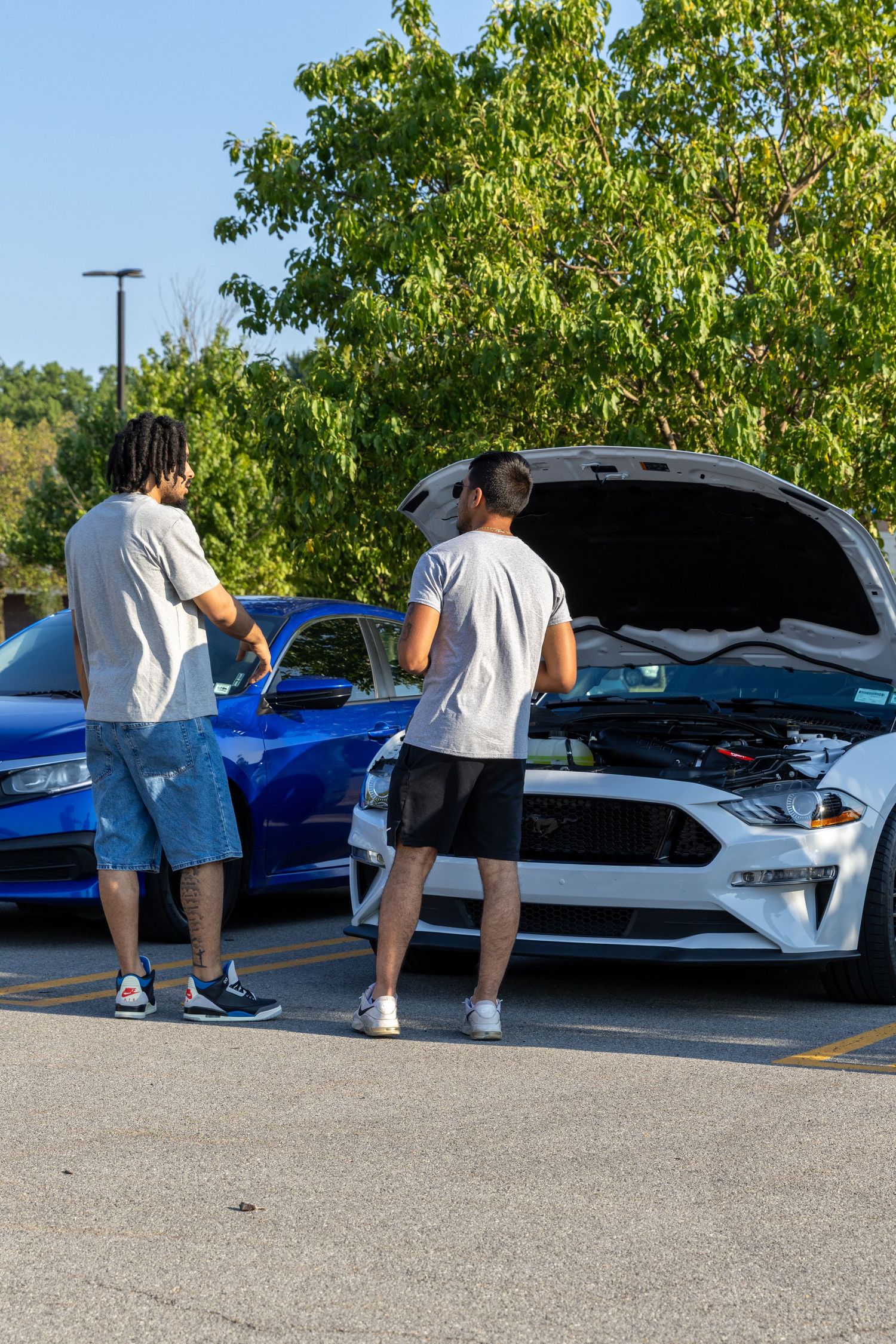 Several people examining under the hoods of cars in a parking lot on a sunny day with green trees visible.
