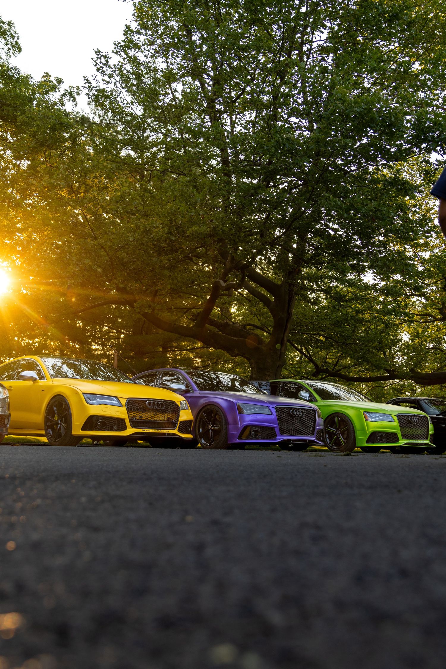 Line of colorful Audi RS7s photographed at sunset with dramatic lighting.