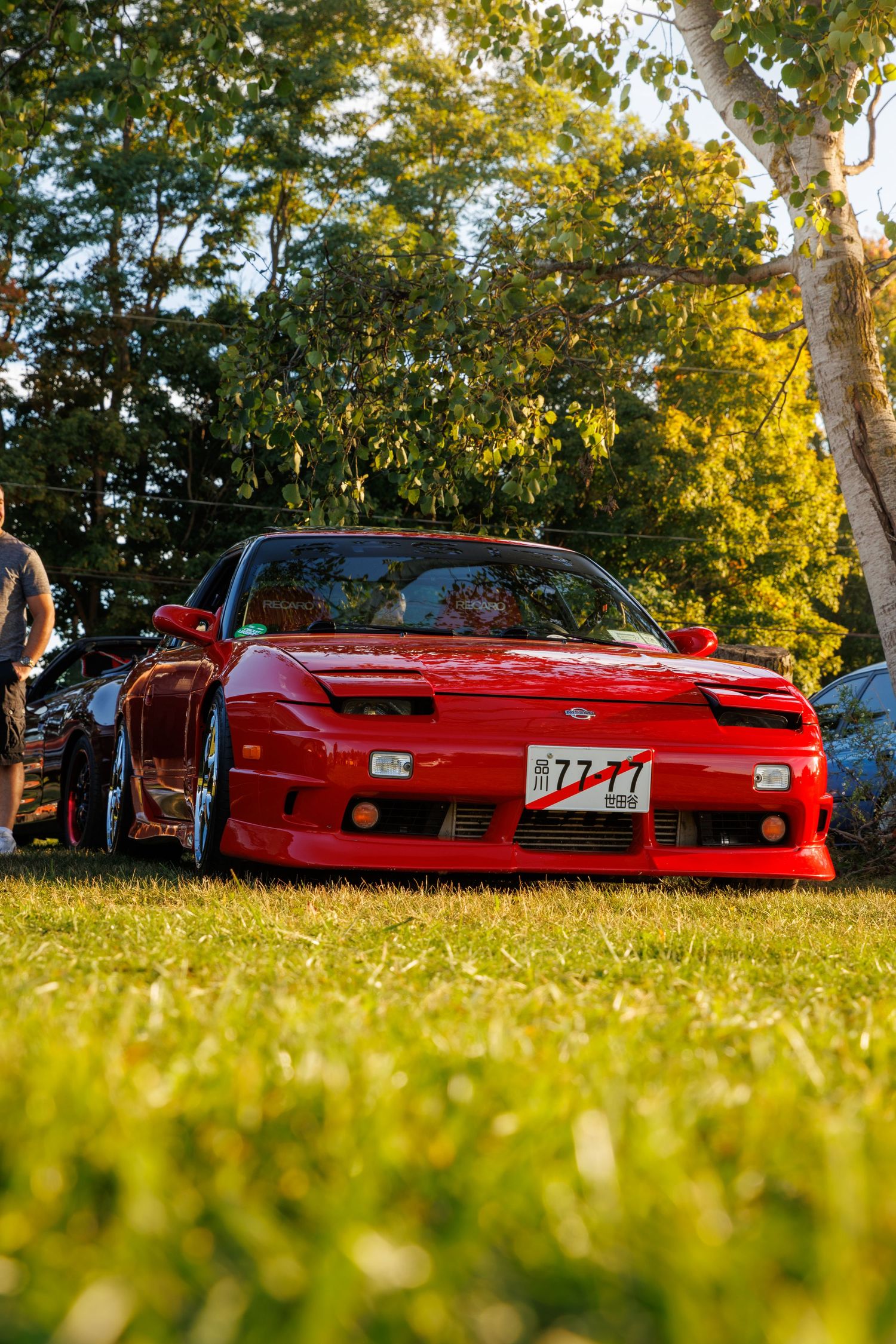 Low angle view of red sports cars parked on grass with golden sunlight filtering through trees in background.